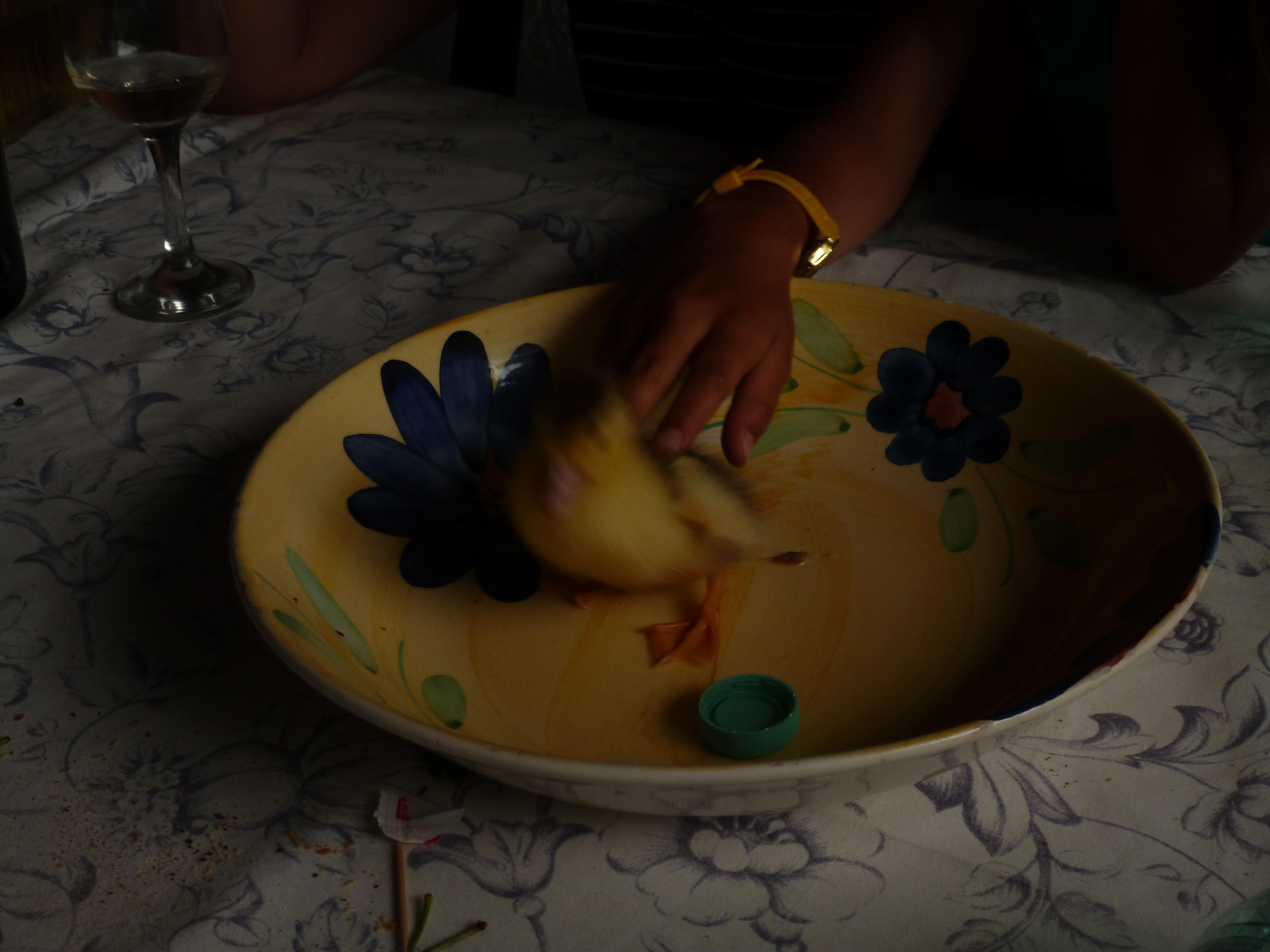 ADEUS ÀS HORAS / FAREWELL TO HOURS 