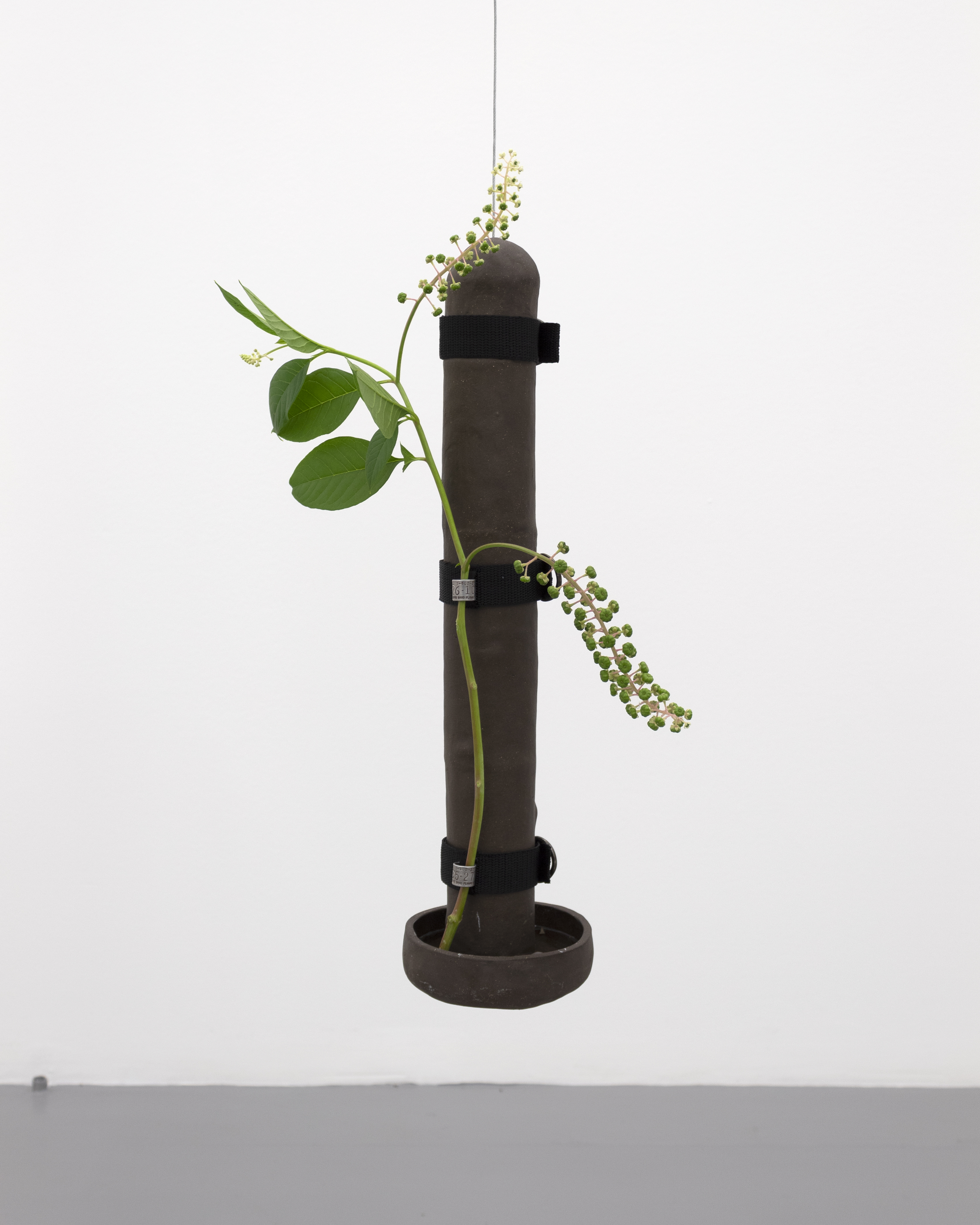 Feeder No.1 Glazed ceramic, nylon straps, bird bands, water, epoxy, local plant, 2020. Photography: Prairie