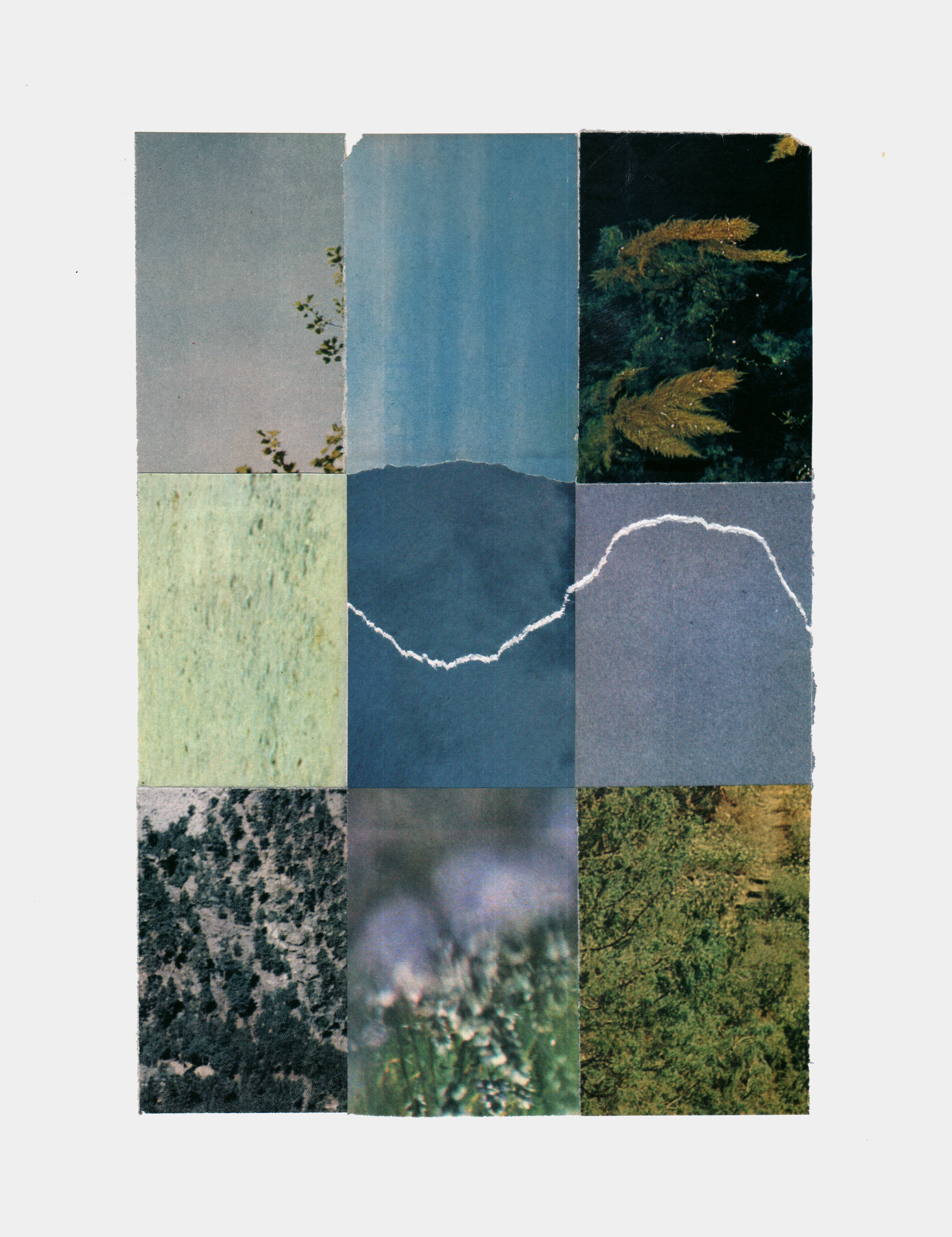 Color Study Collage 8, Collage on paper, 14 x 17"