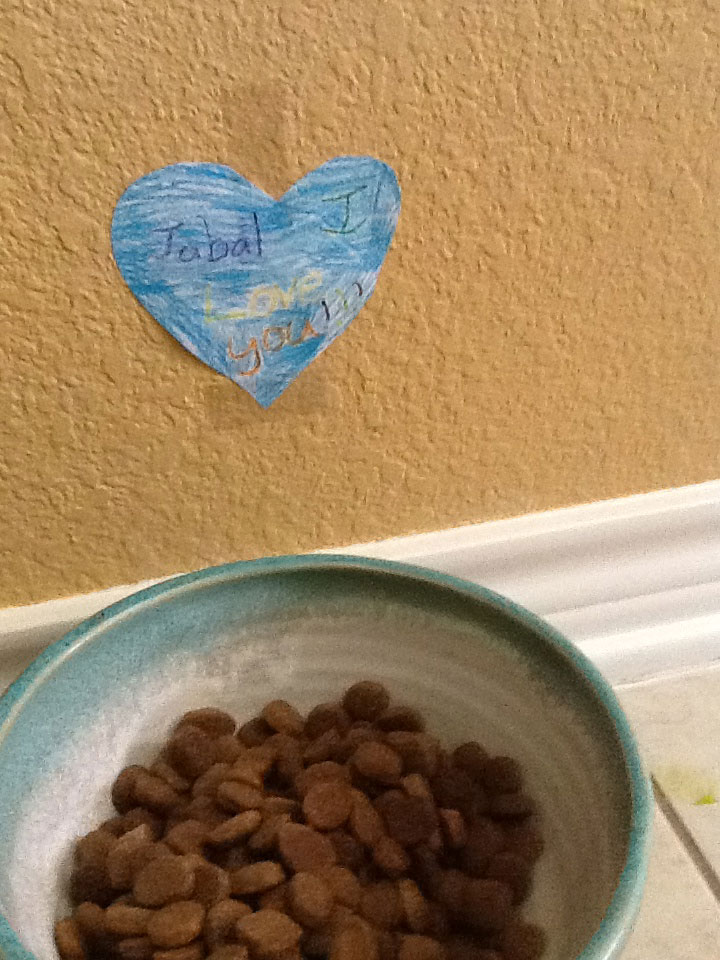 This is how much my niece loved Jubal (R.I.P.)