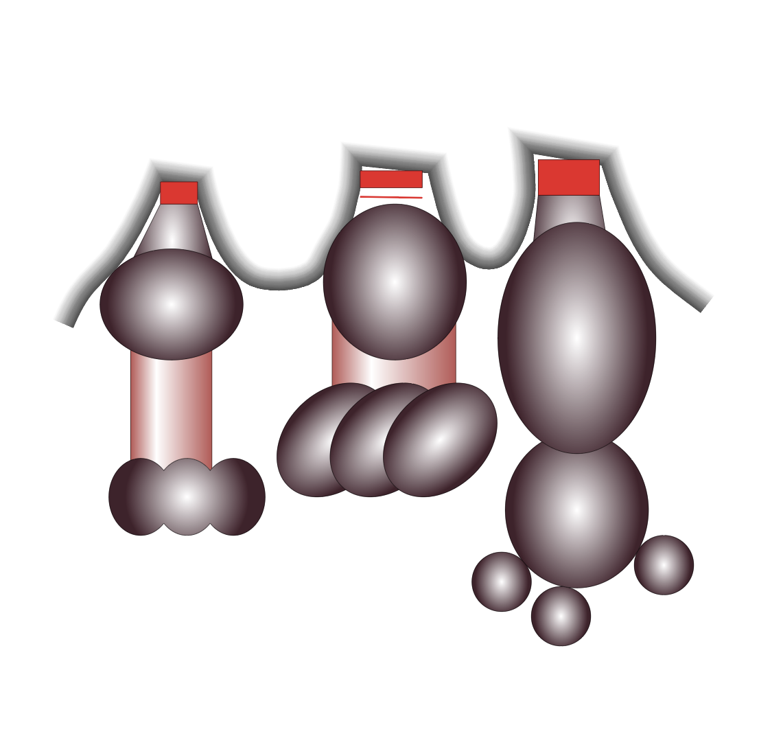 「 3 Cokes Covered by Their Package 」