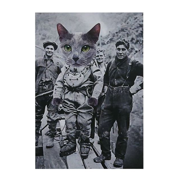 nebulous.collage.notes