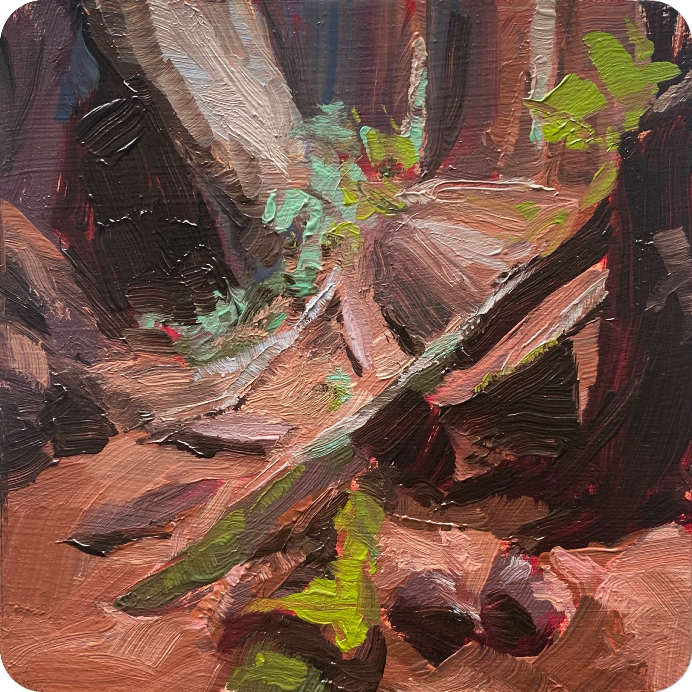 redwoods, 202410 x 10 cm oil on MDF coaster