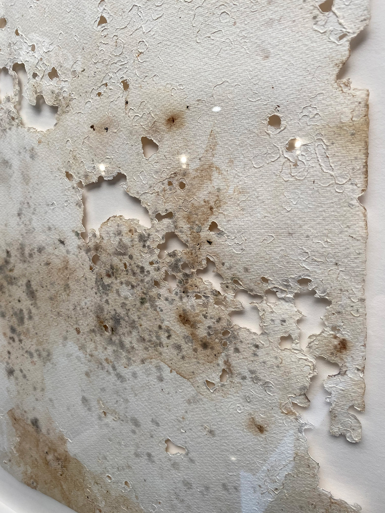 Companion Pieces / Detail / 2021