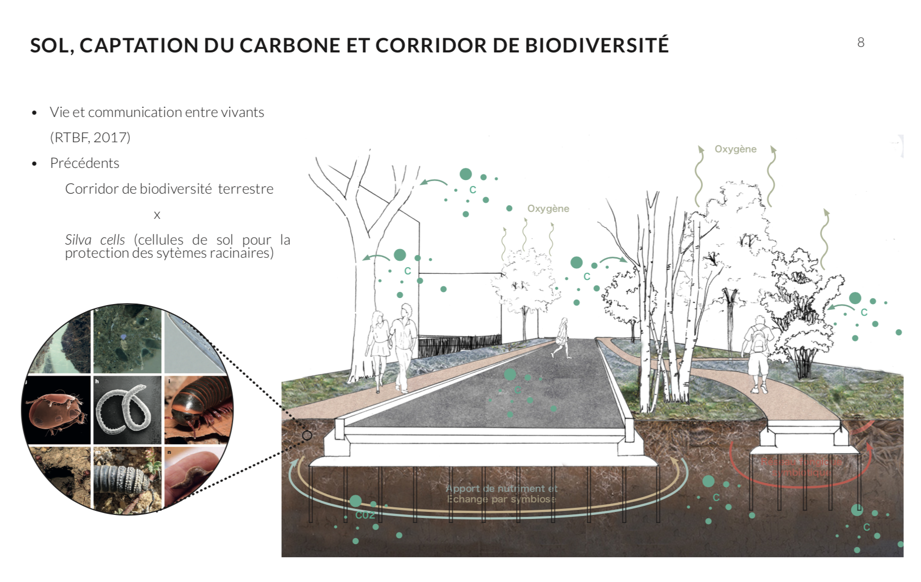 Design drawing by Romain Gizzi, Amélie Longpré, and Bénédicte Simard, studio work, University of Montreal, 2021.