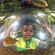 Zafty - Am I - single - Mixing