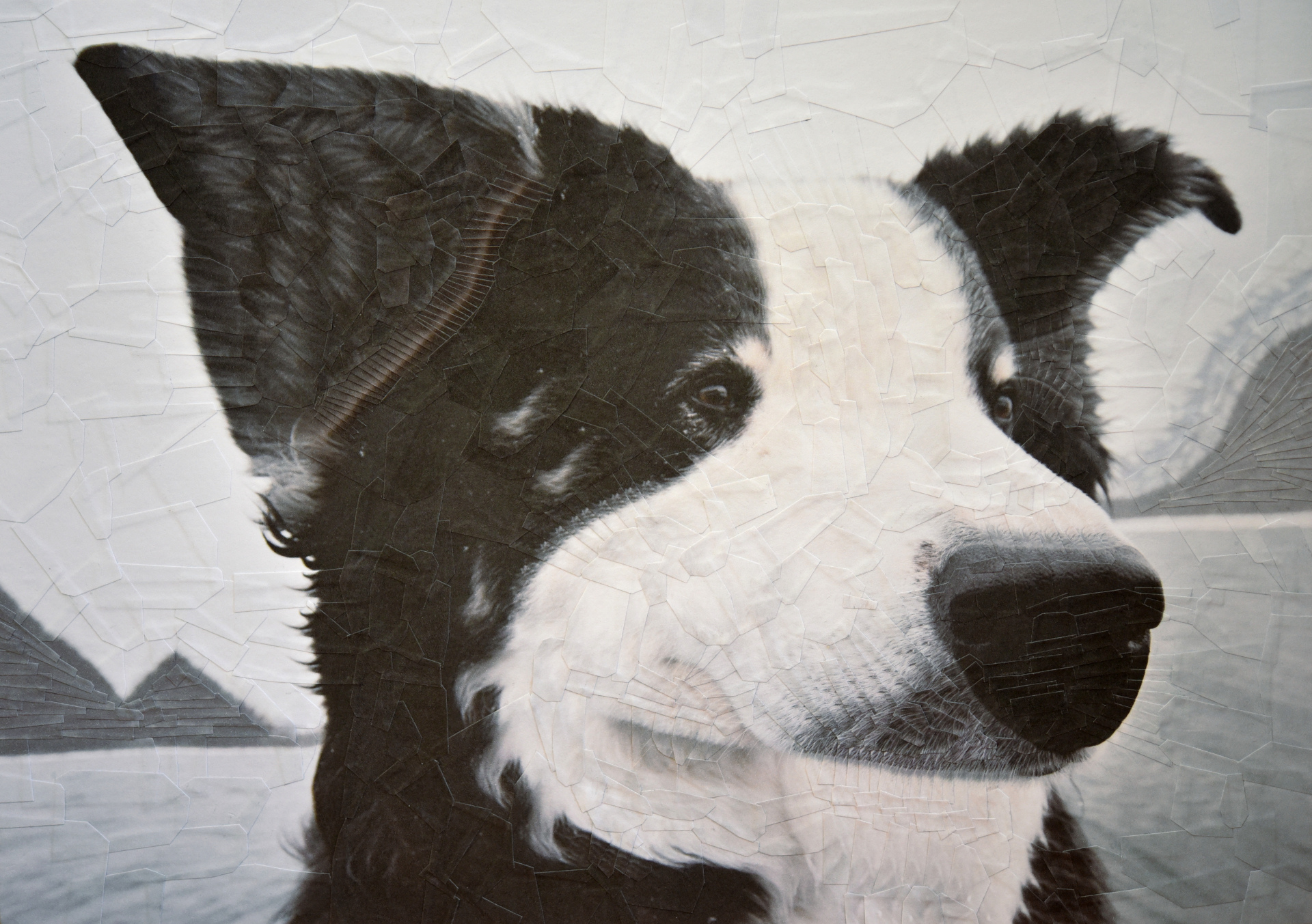 Beans, 2018, 8.2 x 11.6 inches