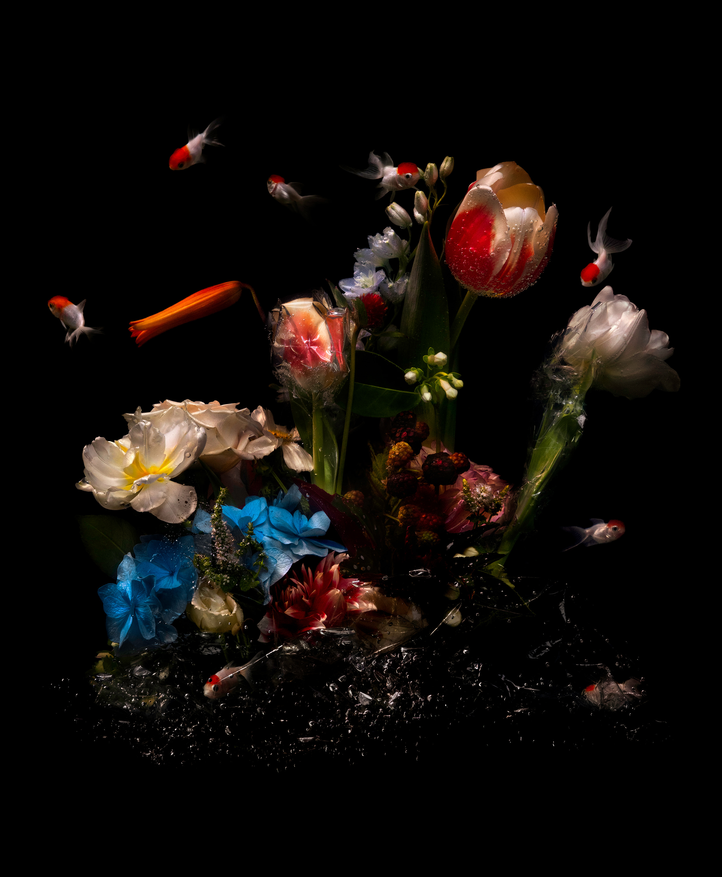 Disenchantments of the World, 2020