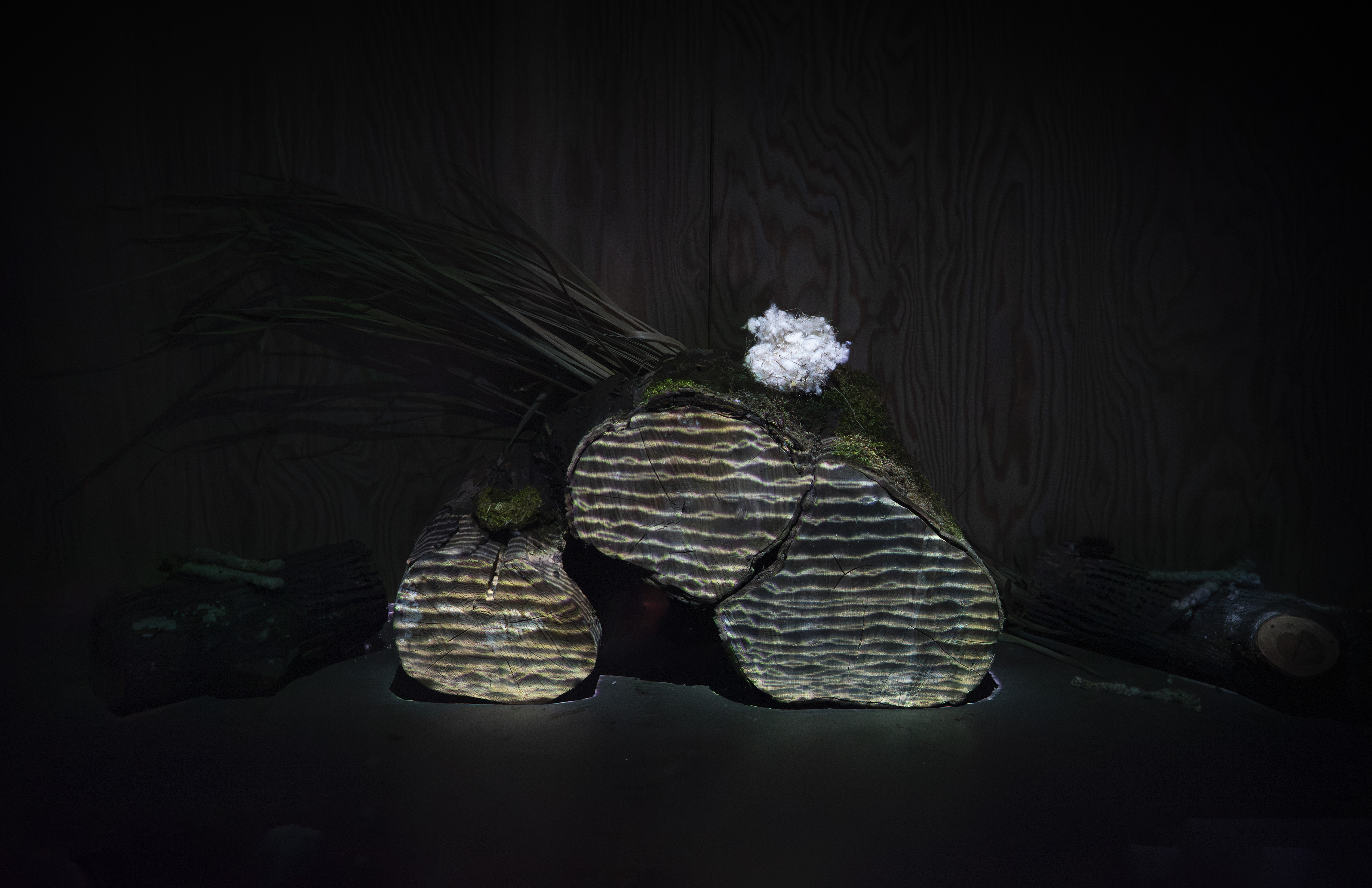 Precious Beings Full 02, 2025