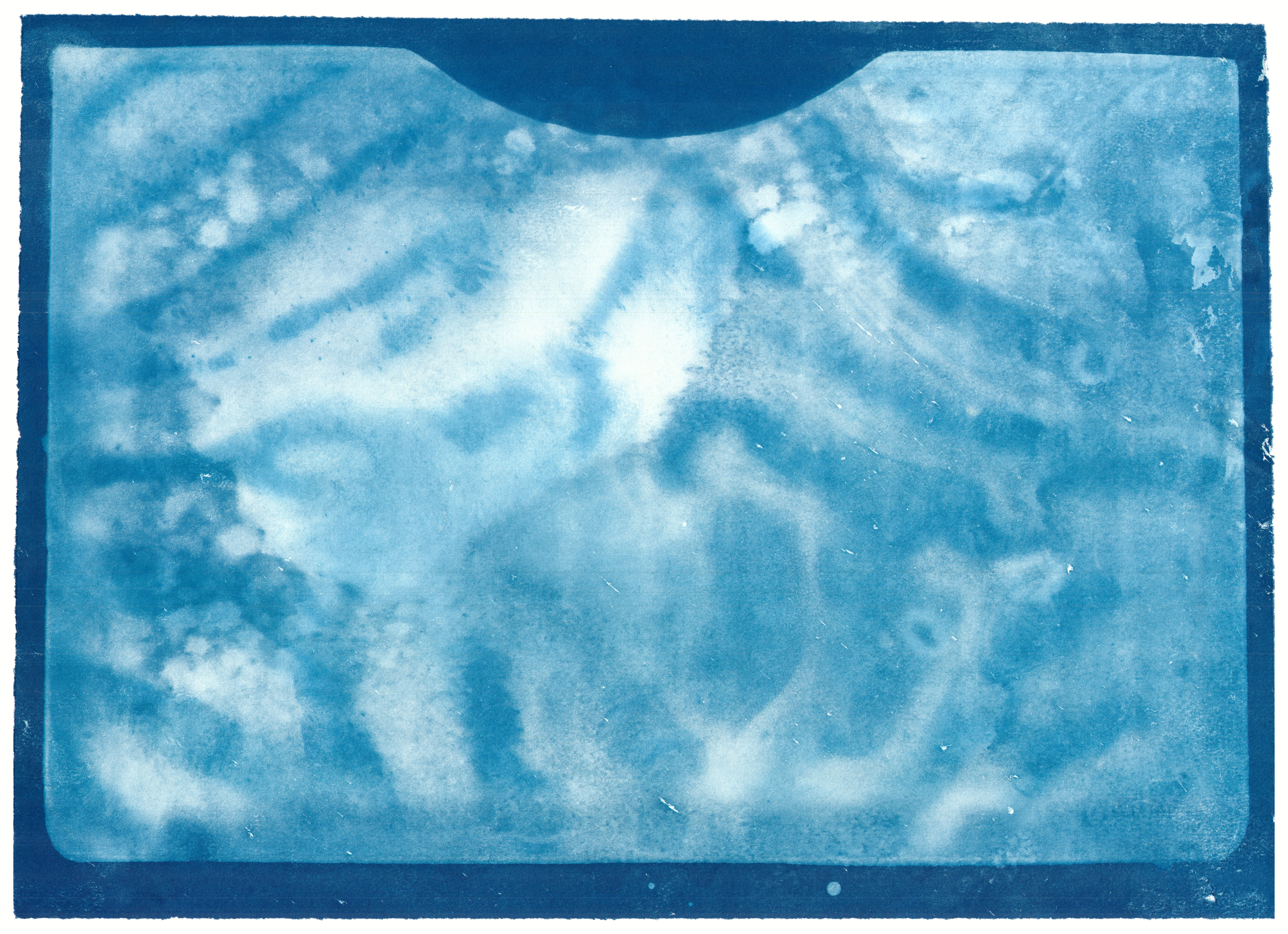 There Are Some Steaks in the Freezer, 2020Cyanotype on Stonehenge paper24.1 x 17.483 in.61.21 x 44.41 cm