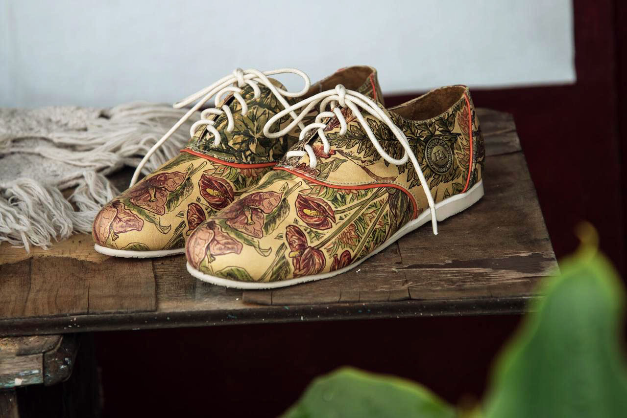 Illustration for shoes Historia Apié