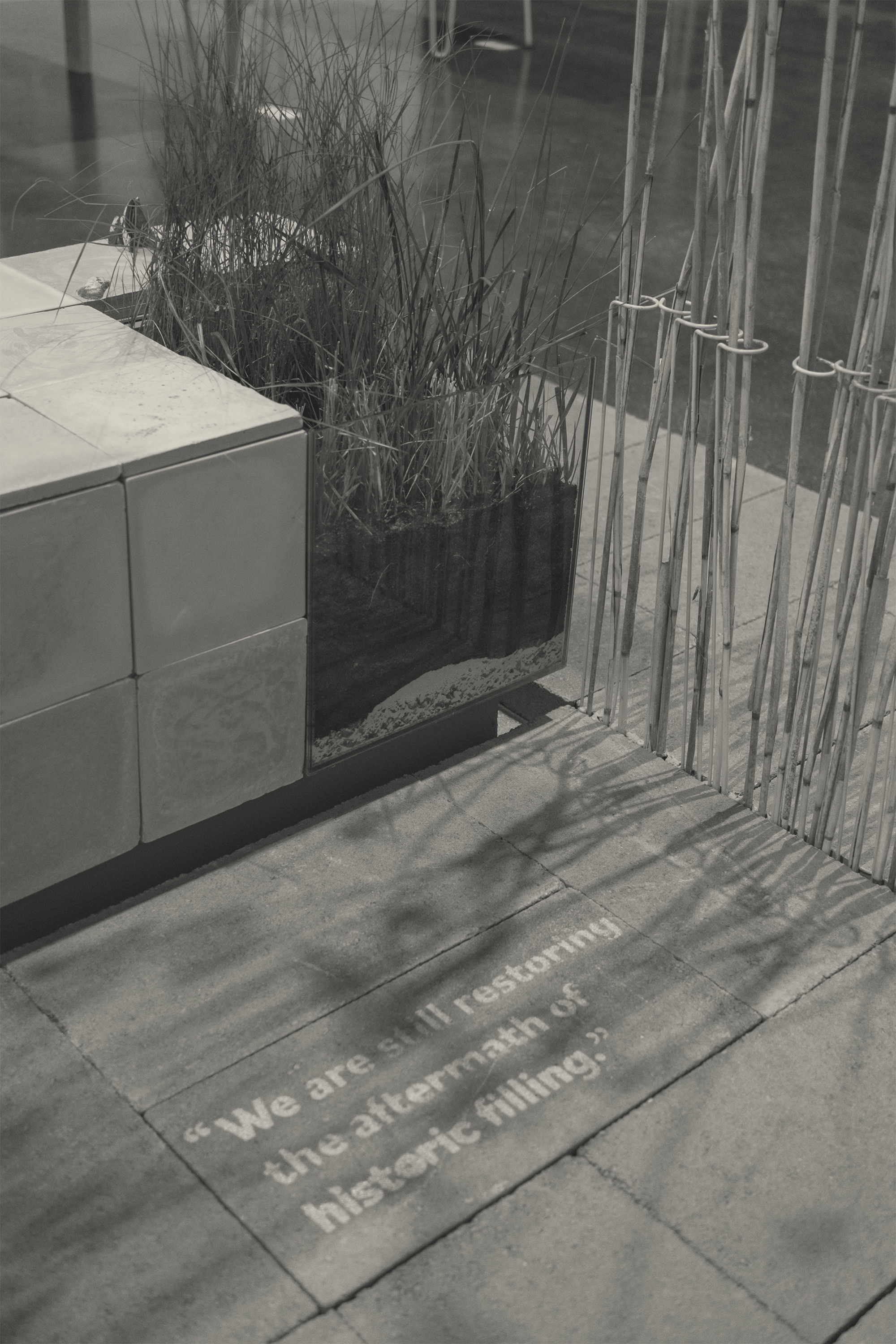 How might we create an allyship with a landscape we have not seen, felt, experienced?