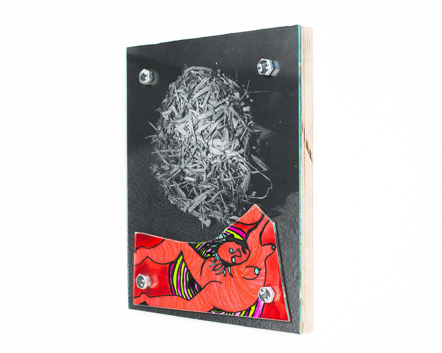 Falling Out of the Nest - H25.5xW20.5xD2.5cm - Bolts, glass, paper, ink, felt tip, darkroom hand print, birch ply - 2020