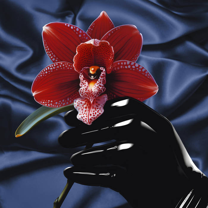 Kim Anh - Dream Lover