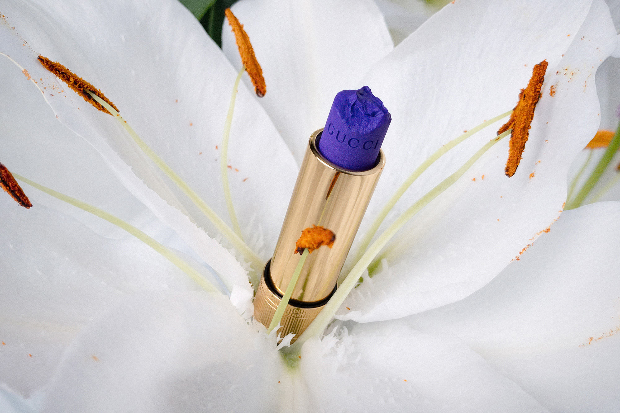 Sonja Gutschera + Leif Osthoff, Gucci, Beauty, Still life, Lipstick, Flower