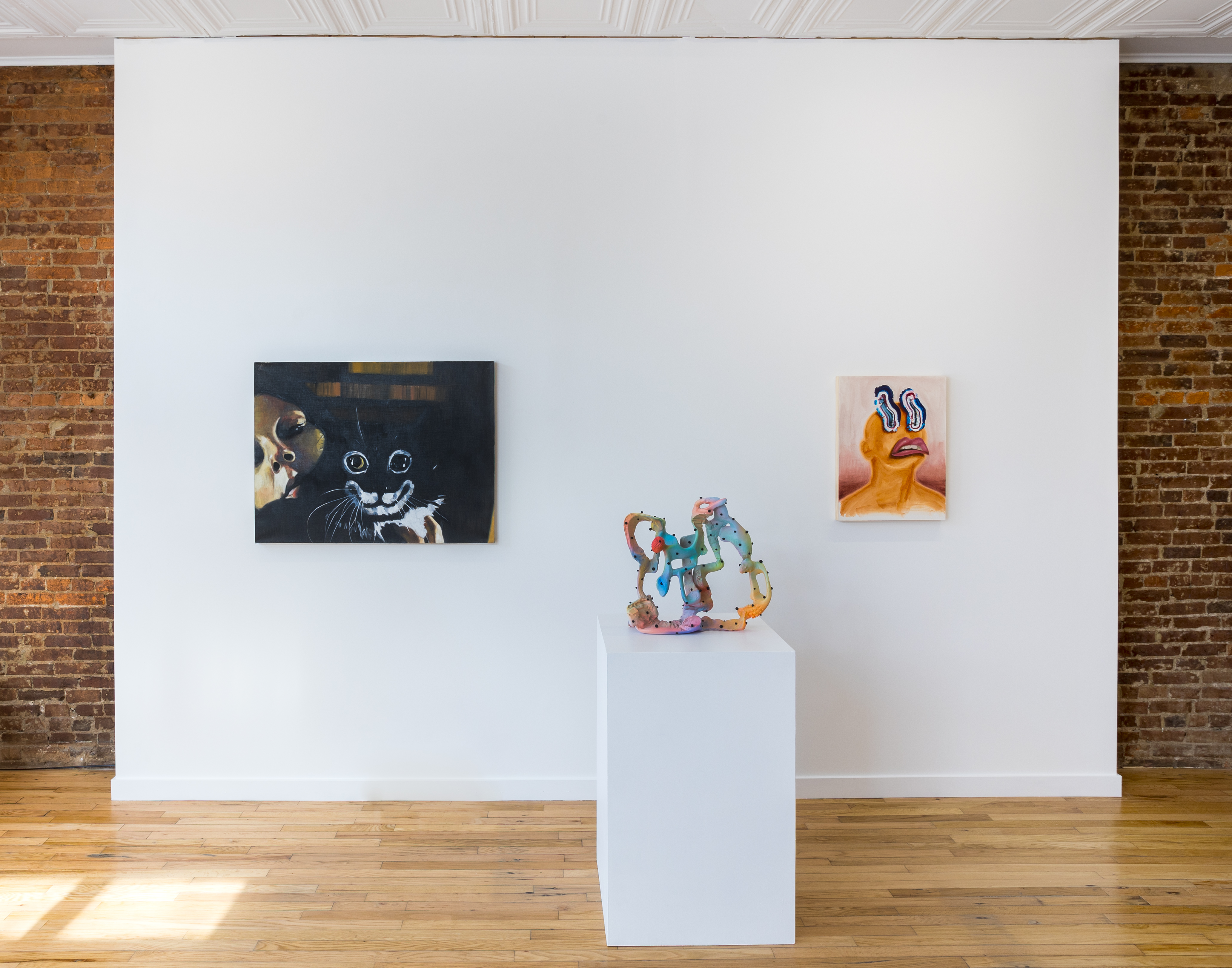Installation view: SEAN CARROLL