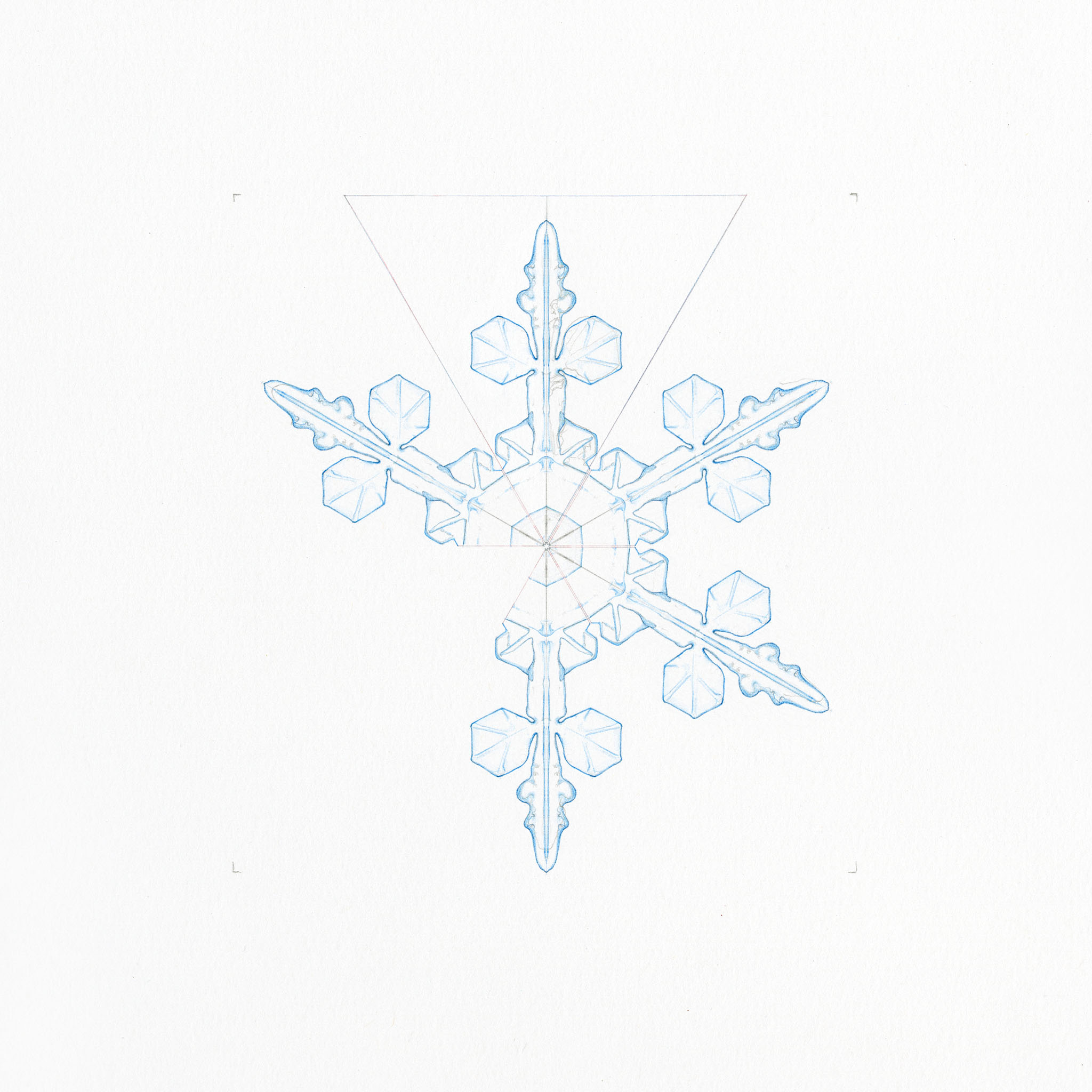 Snowflake