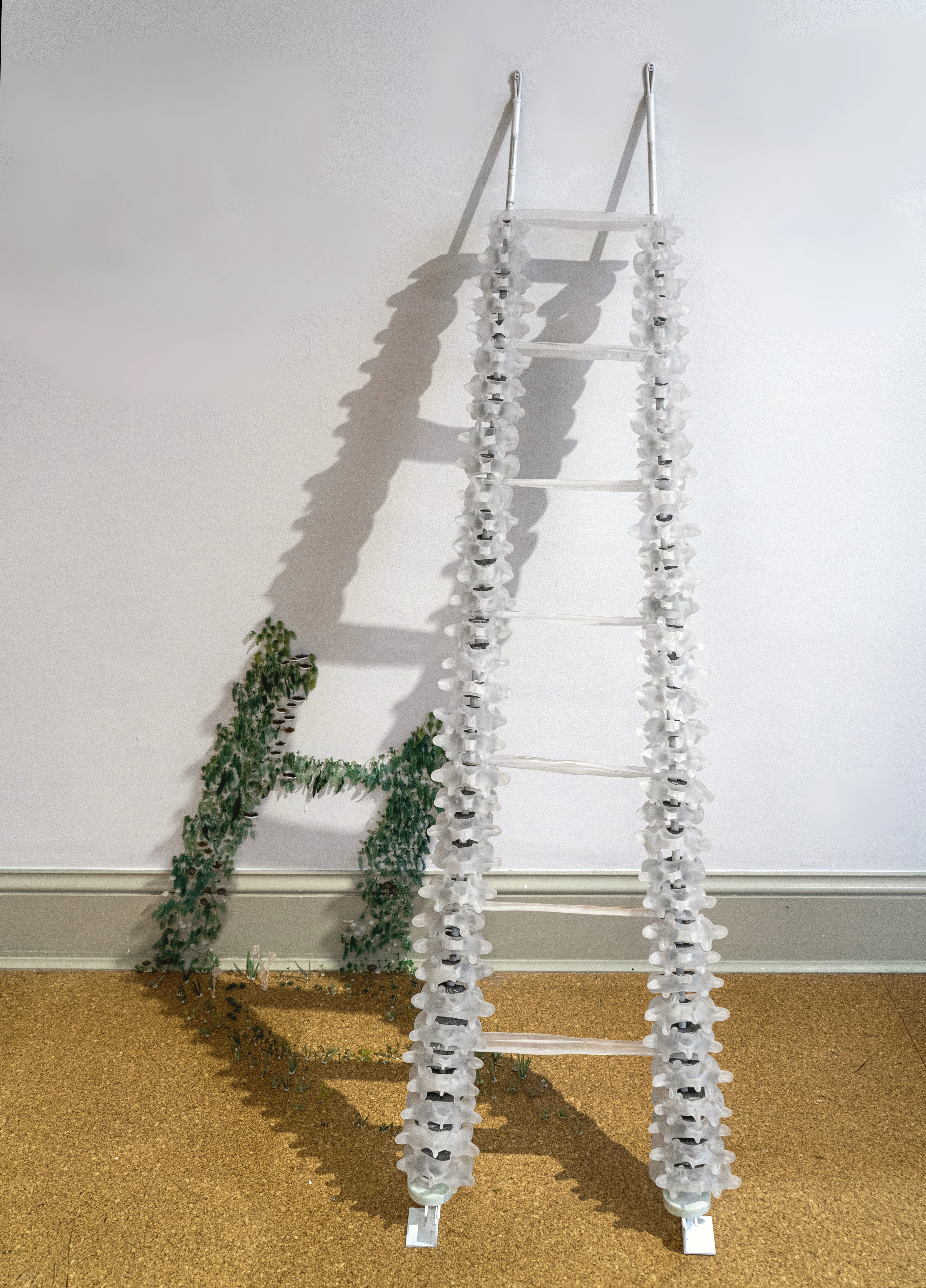 "Fate's Fertile Shade" 2024 [Photo by Lyncia Berry]