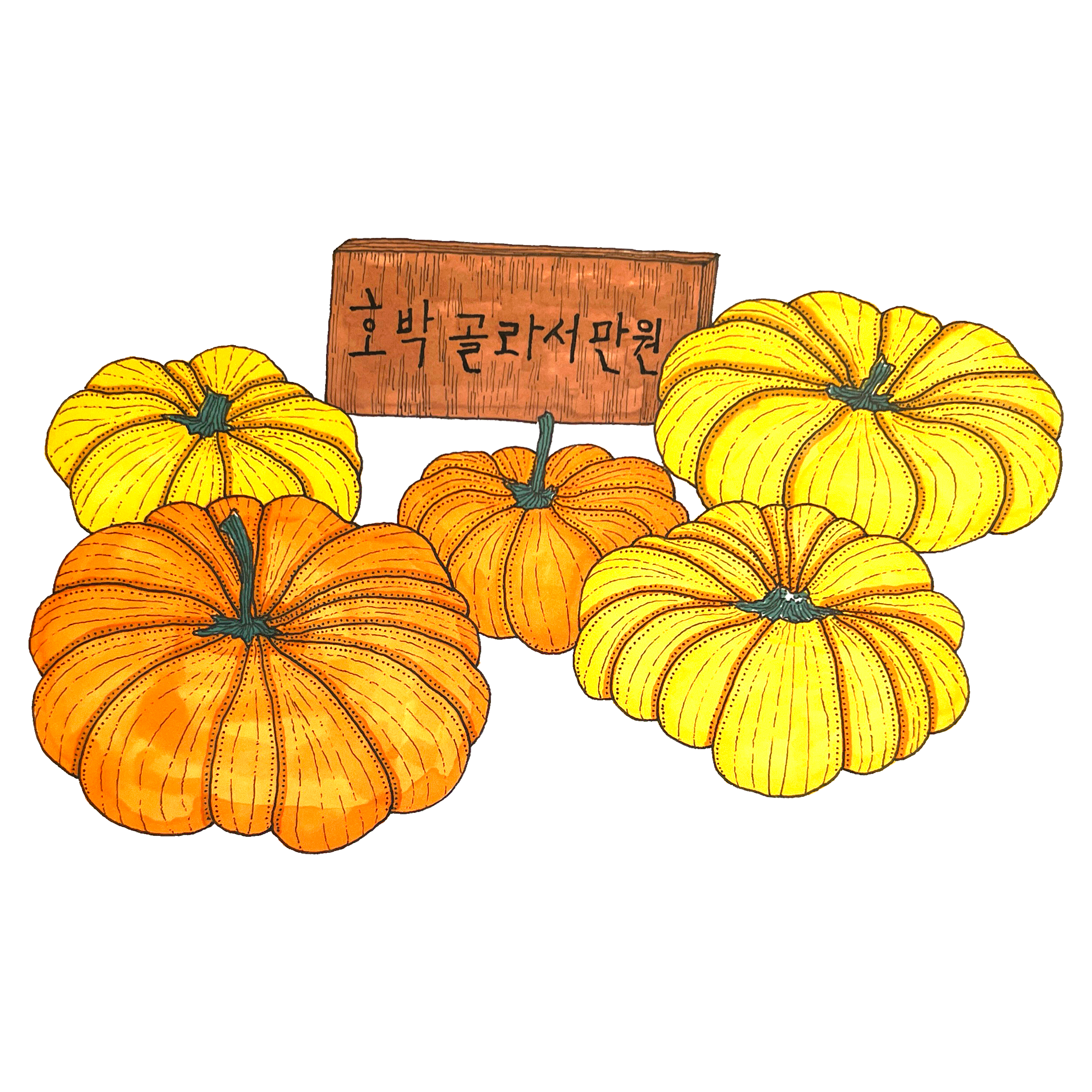 호박 골라서 만원