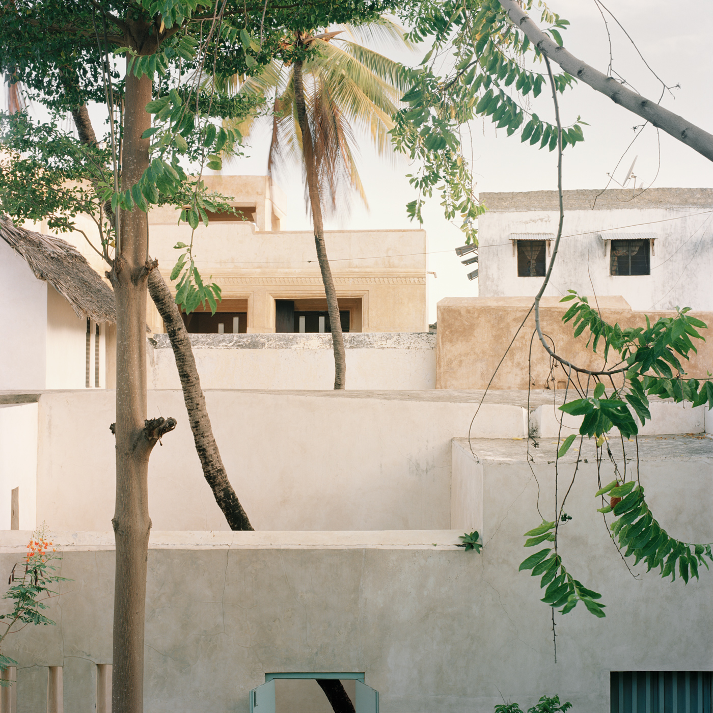 Lamu Courtyards, 2019