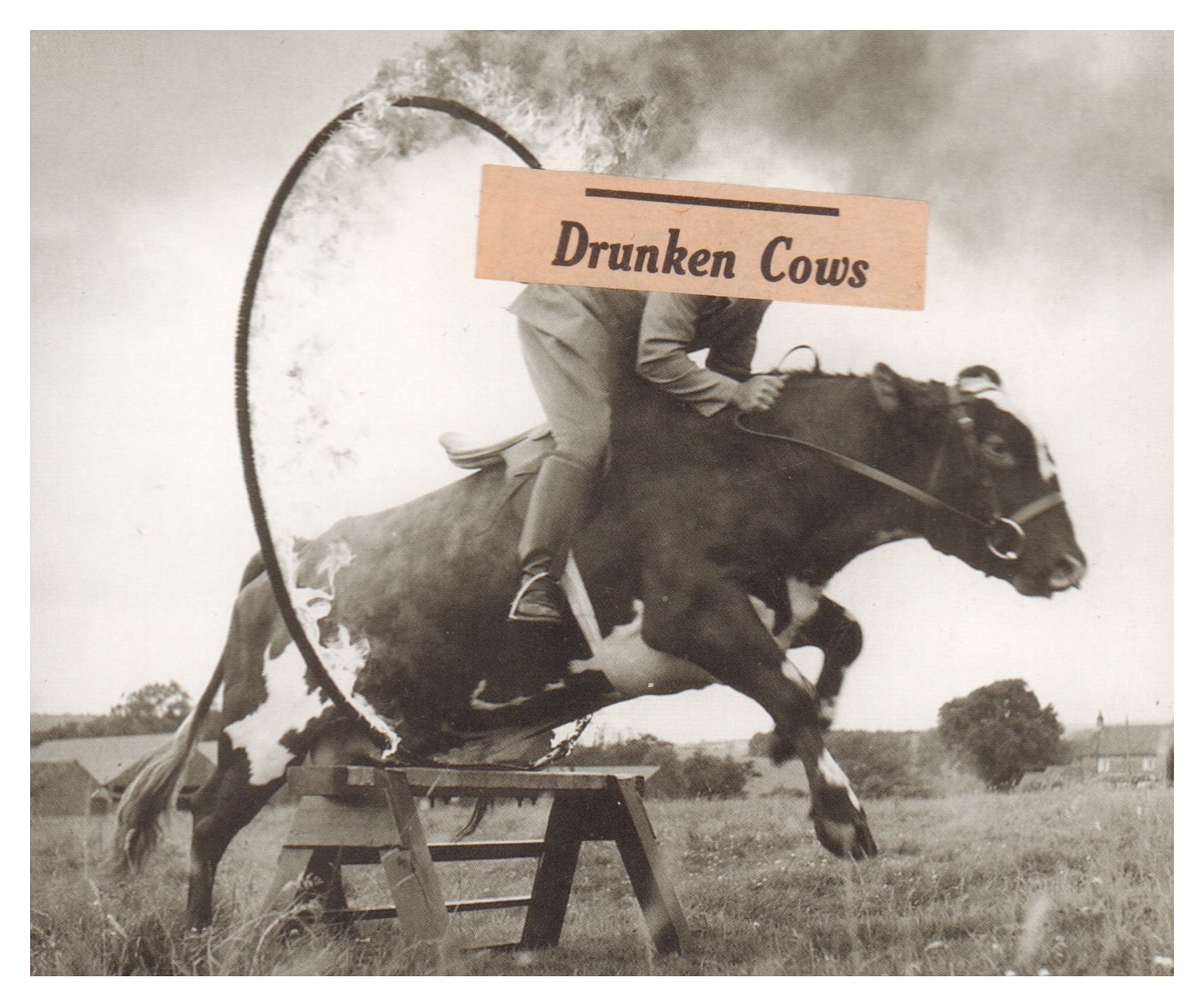 Drunken Cows, 2017, photomontage, 14 x 12.5 cm