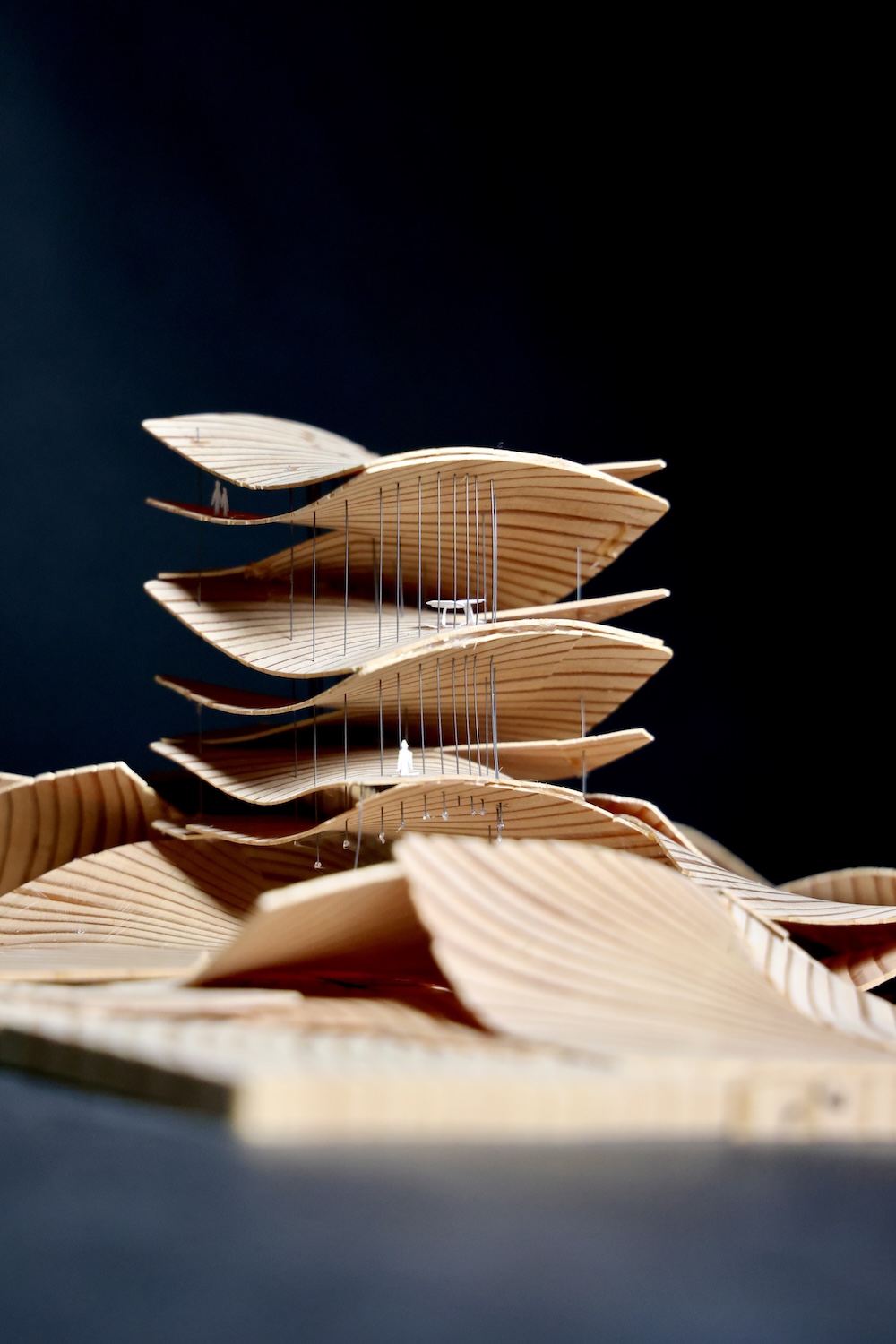 &copy; Melania Vorona