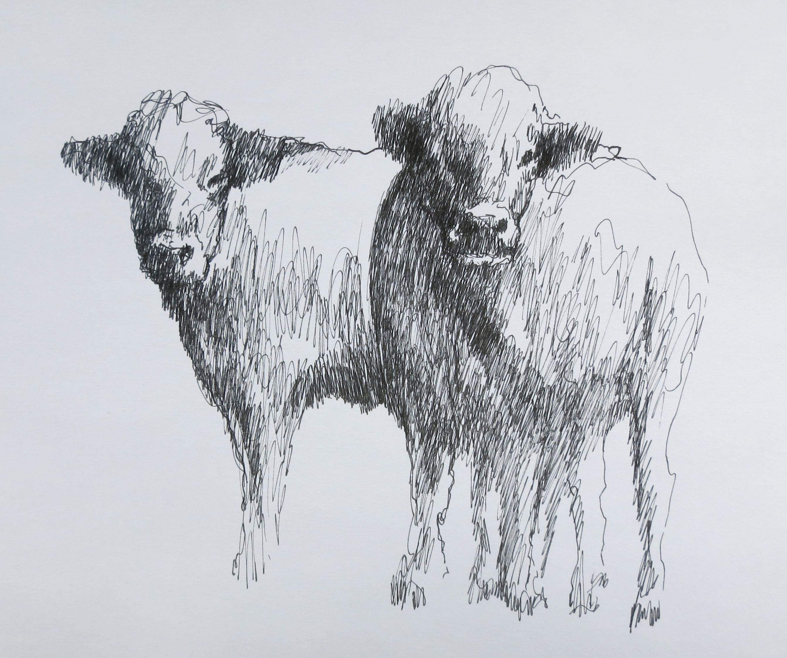  Ink on paper &ndash; 8&rdquo; x 11&rdquo; 