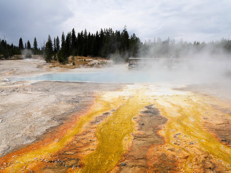 Yellow Stone National Park, USA, 2017