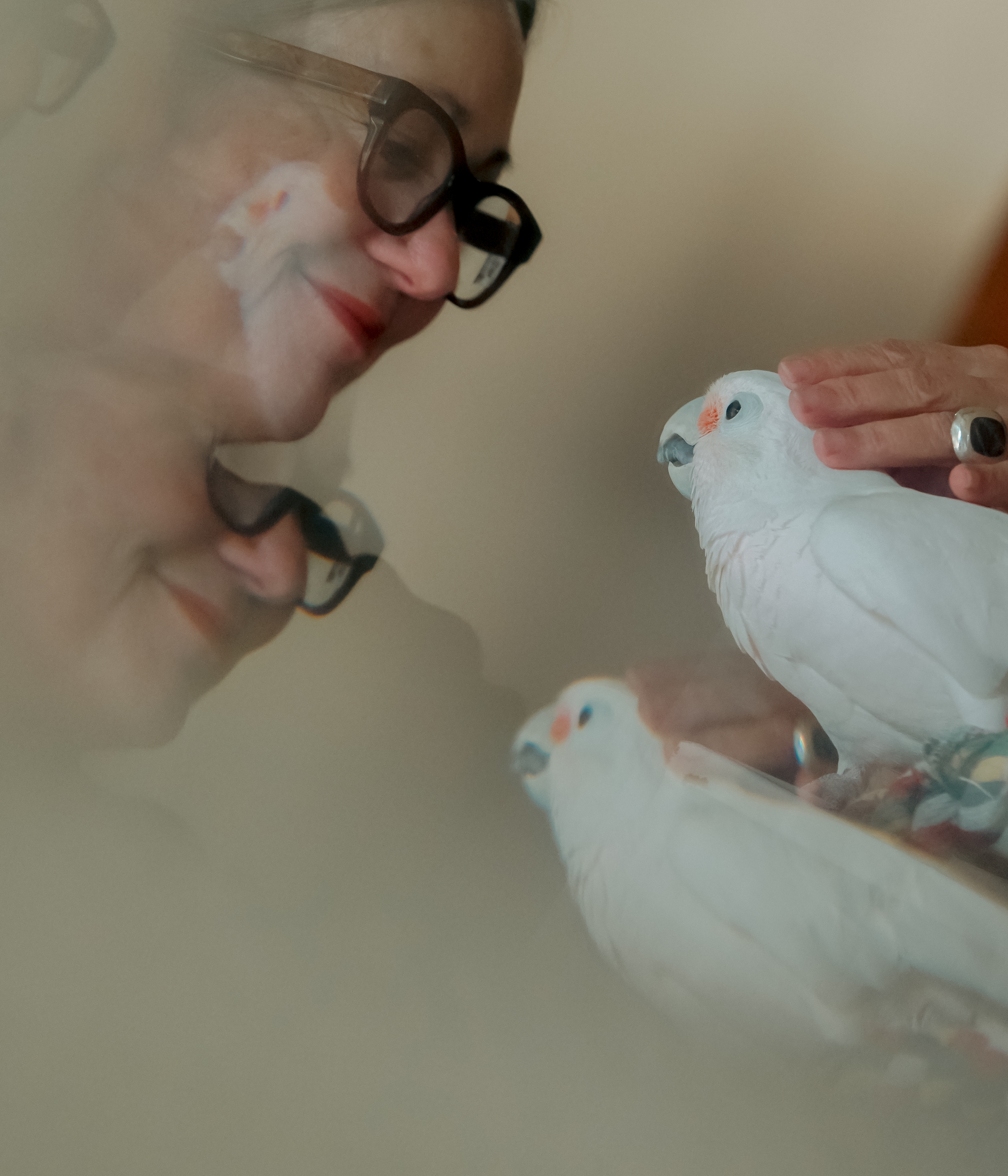 Leslie cares for her 50 year old family parrot.