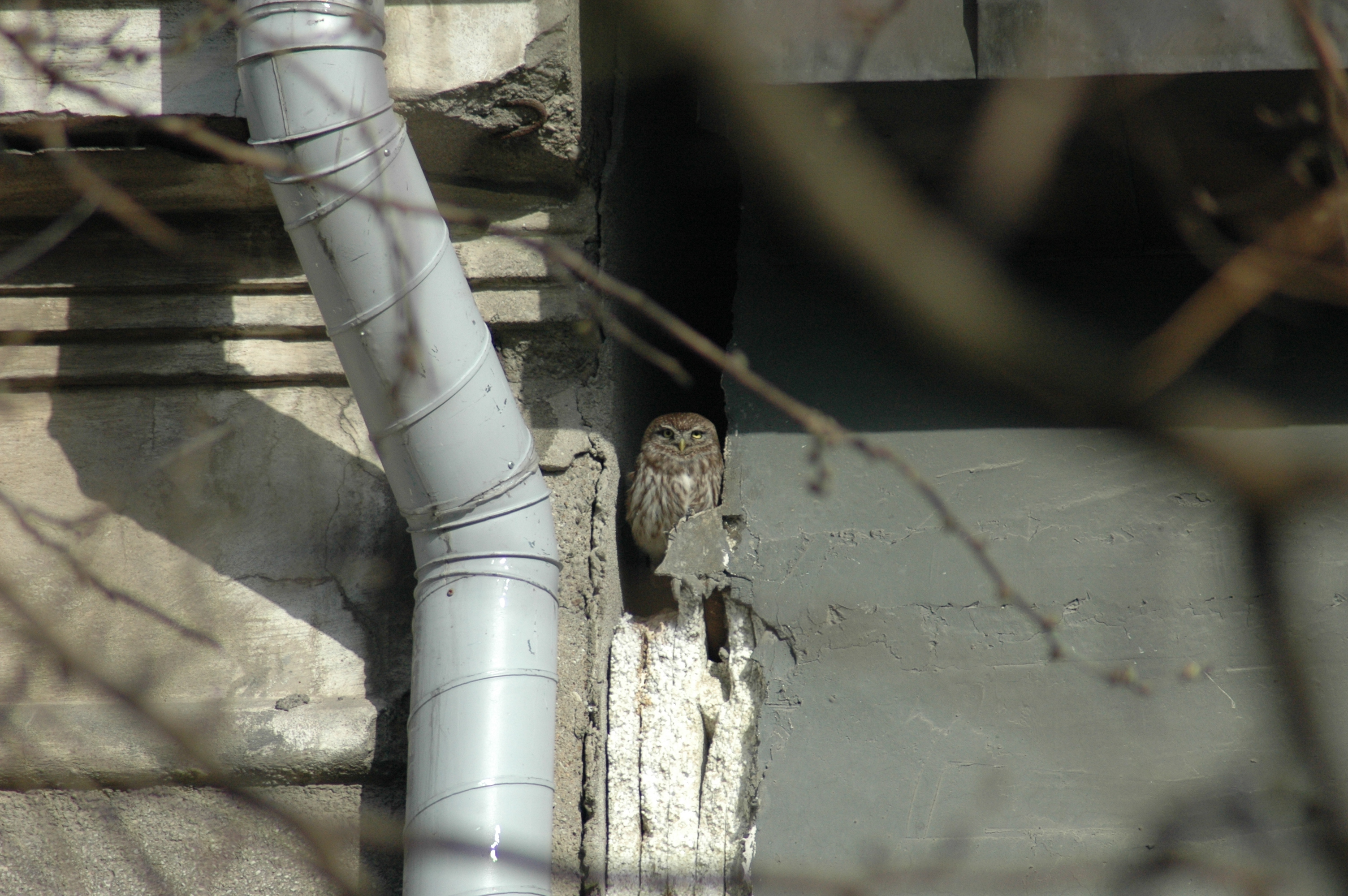 04.04.2012, Kışla Binası