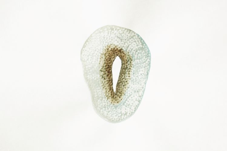 Série Cosmos, [détail] 2013-2017Aquarelle sur papier, 37 x 27 cm Collection privée