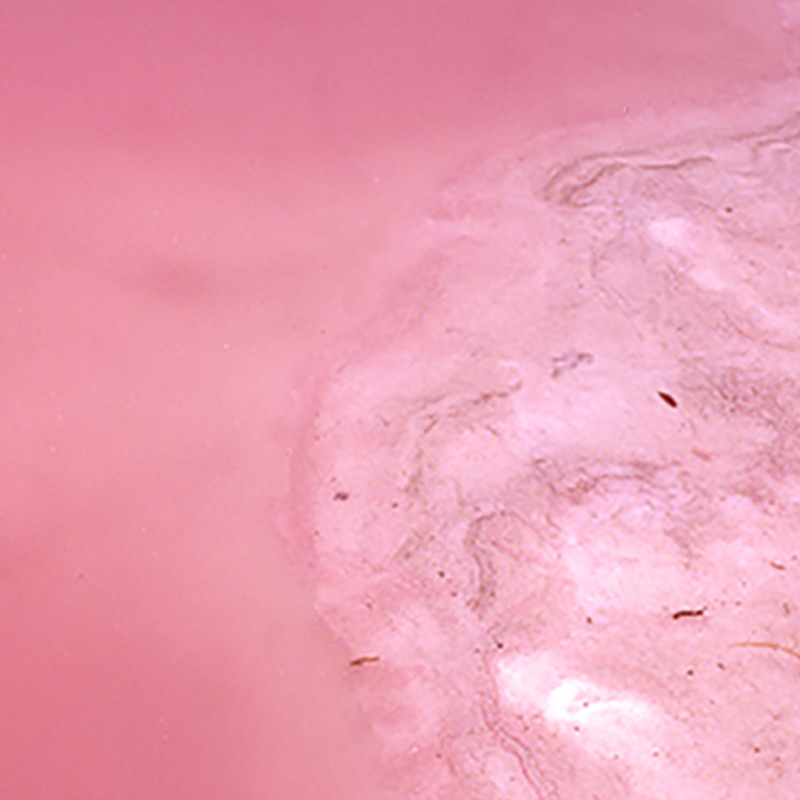 transience #48 with Dan Nicholls (live)