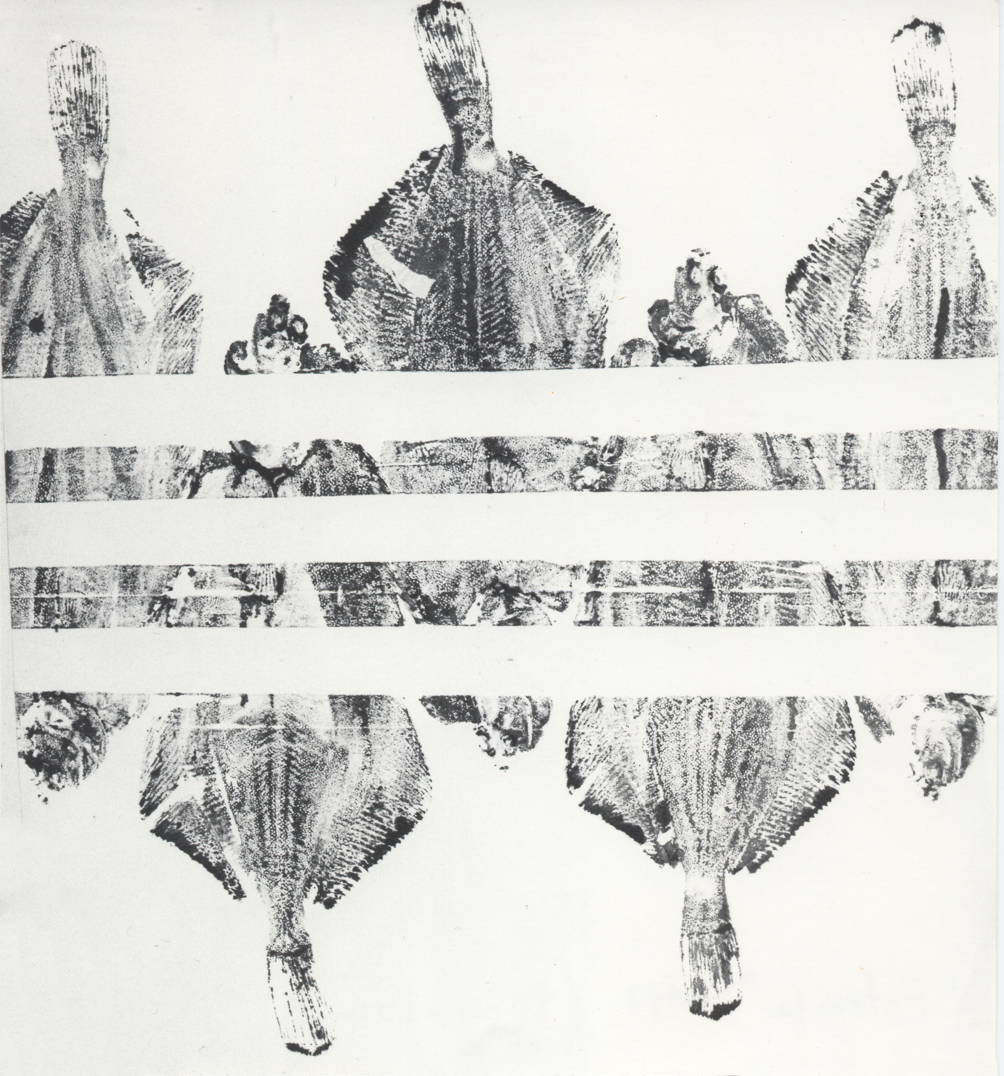 04- Poisson composite, 55x55cm