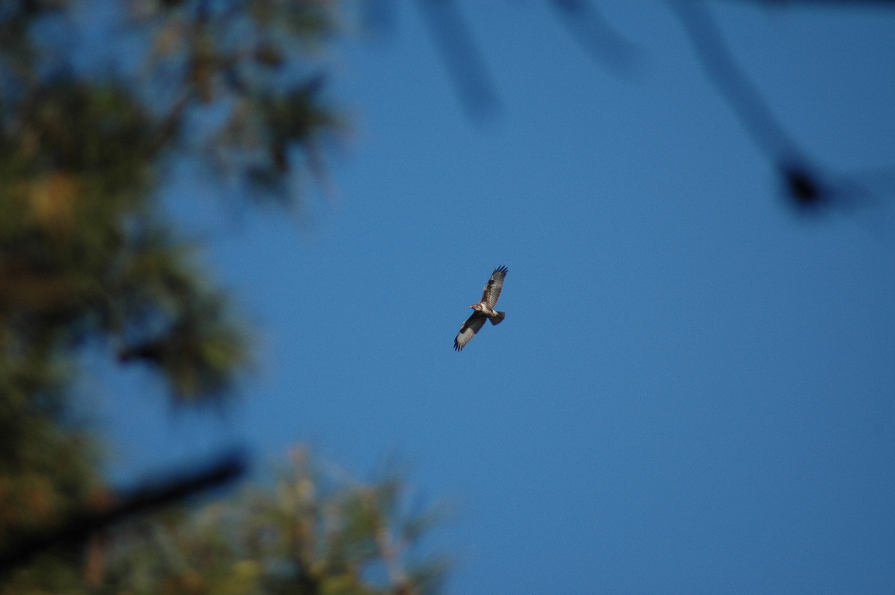 14.12.2024, A Kapısı