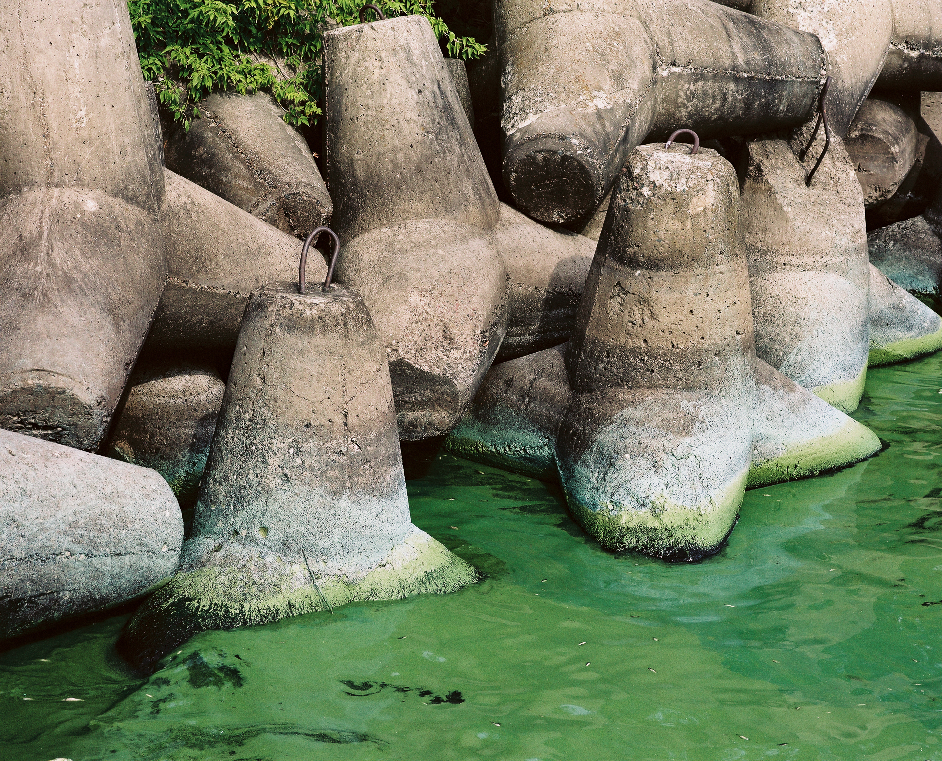 Preview scan from the series Their Soul Runs Beneath