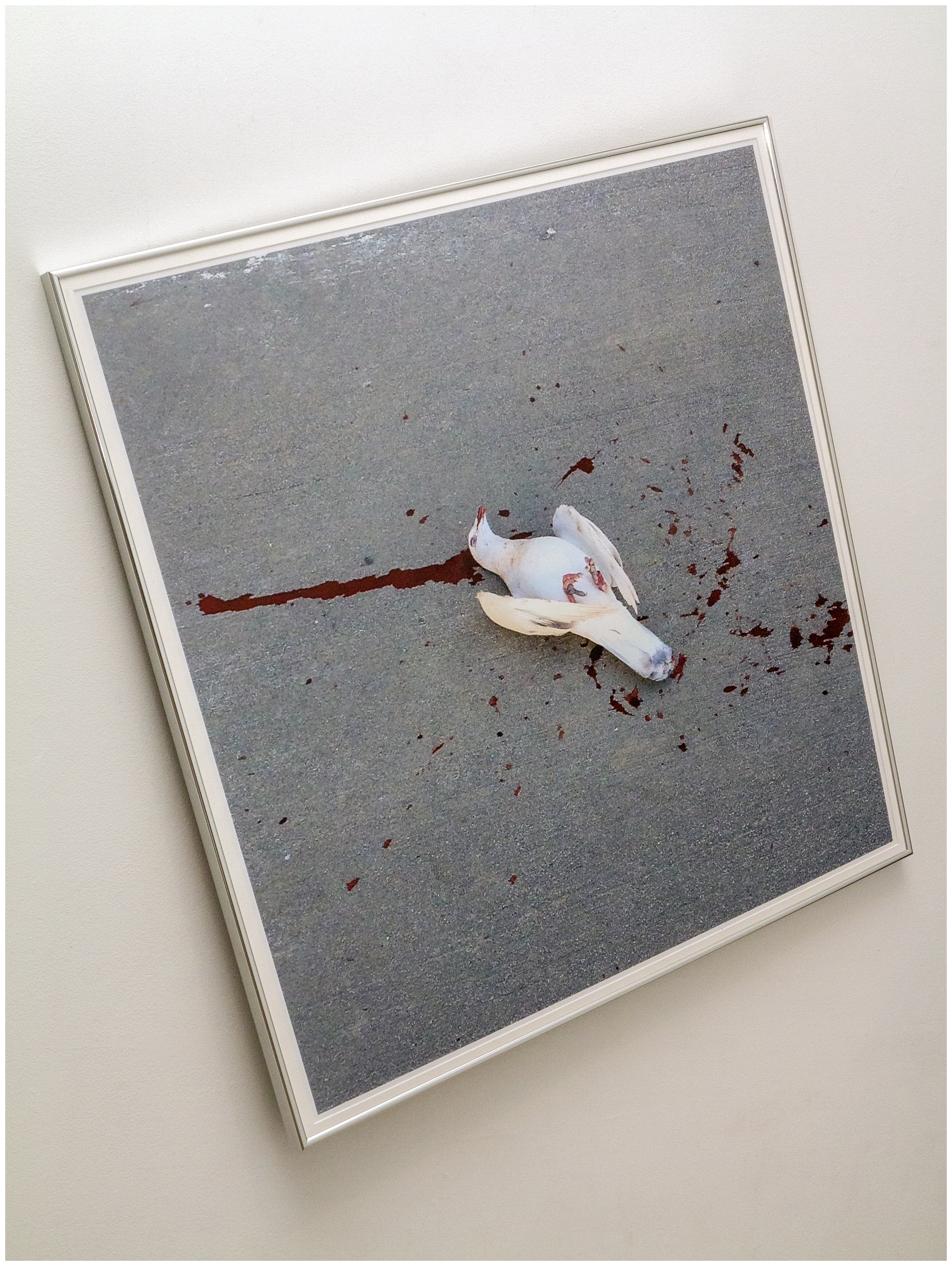 God As Spiritually Active in the World (installation view), 2015Glossy inkjet paper, mat board, acrylic, aluminum frame36.25 x 36.25 x 1 in.91.92 x 91.92 x 2.54 cm