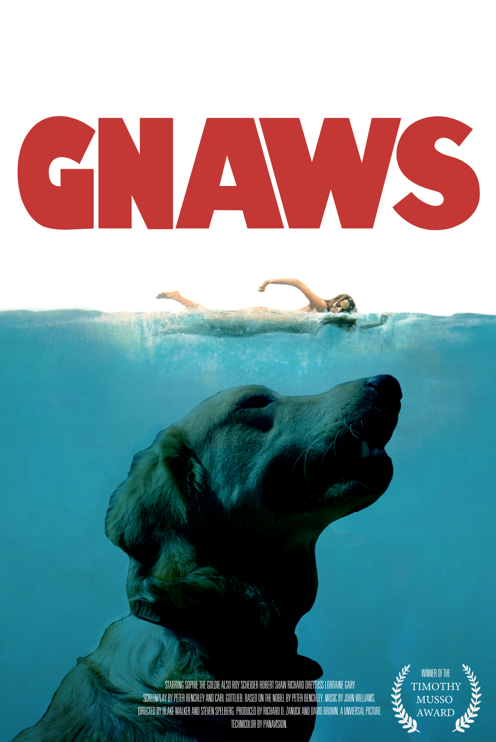 Gnaws Poster feat. Sophie, my Golden Retriever