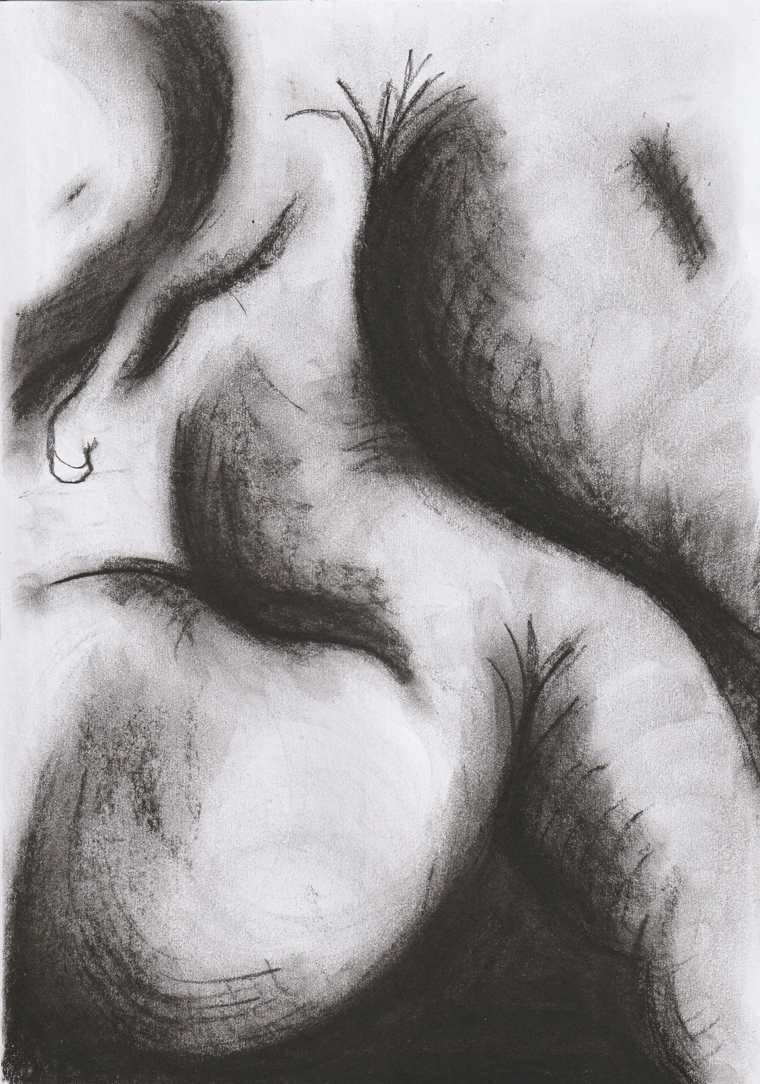 Entity (2025) | Charcoal on paper