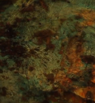 Fly, fly Balladares.mp4