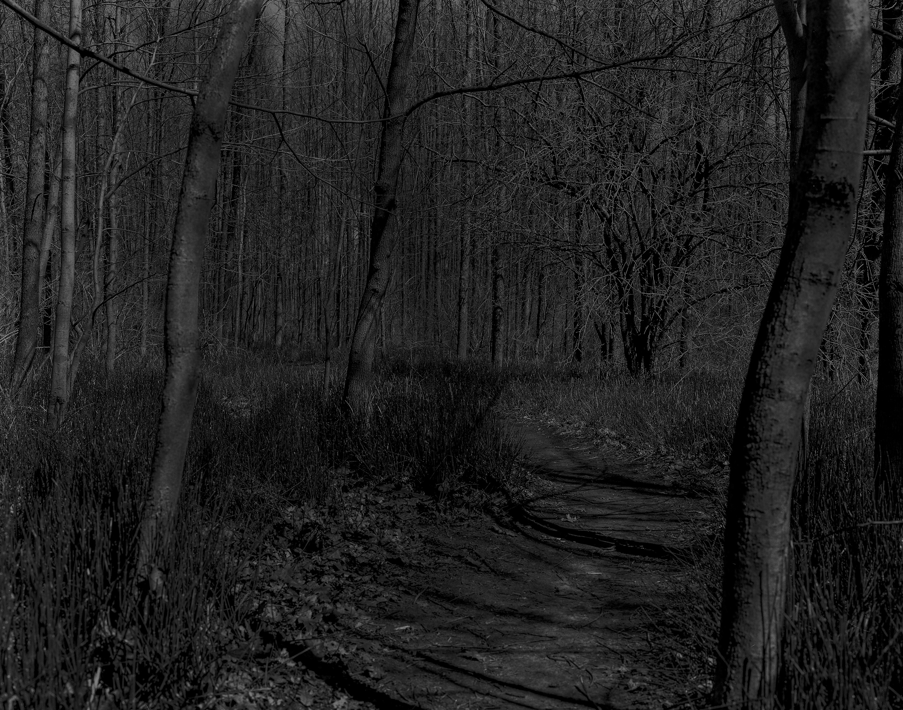 SkicinuwihkukSilver Gelatin Print, 16x20&rdquo;, 2022