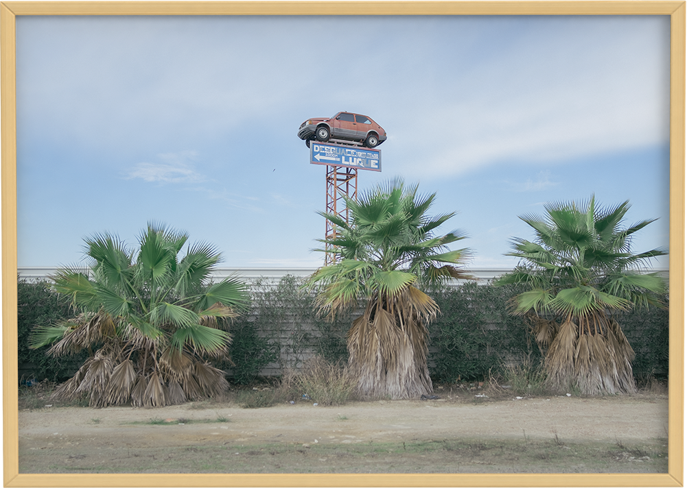 Fotografía impresa paisaje Isla Mayor Sevilla Territorios