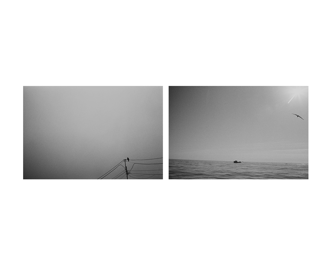 °03, 2012 : Épreuve à la gélatine argentique / Silver gelatin print, 16 x 20 ''