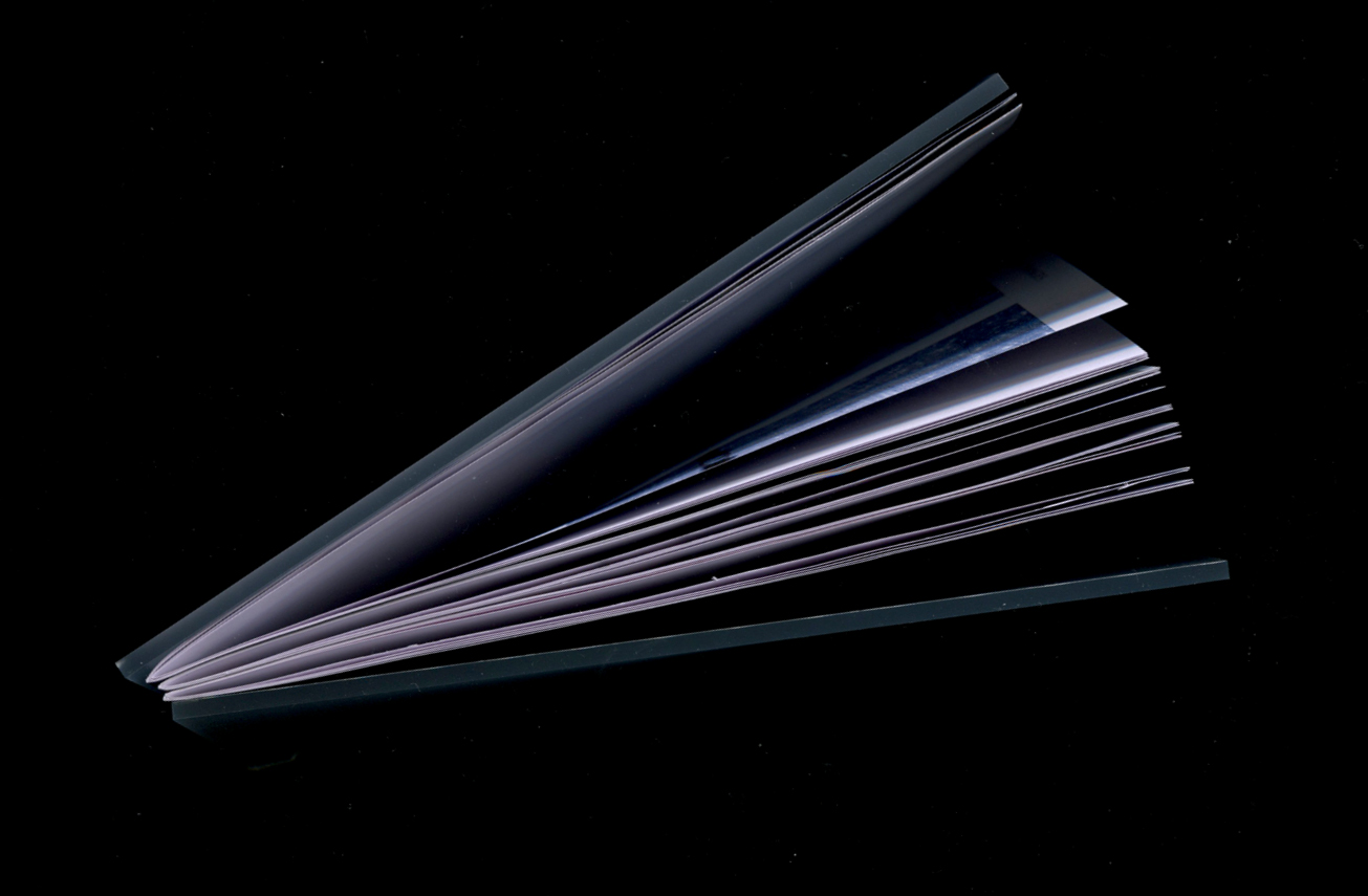 The Presence of Others in a World Without Boundaries: an interview with teamLab (2019) Publication 