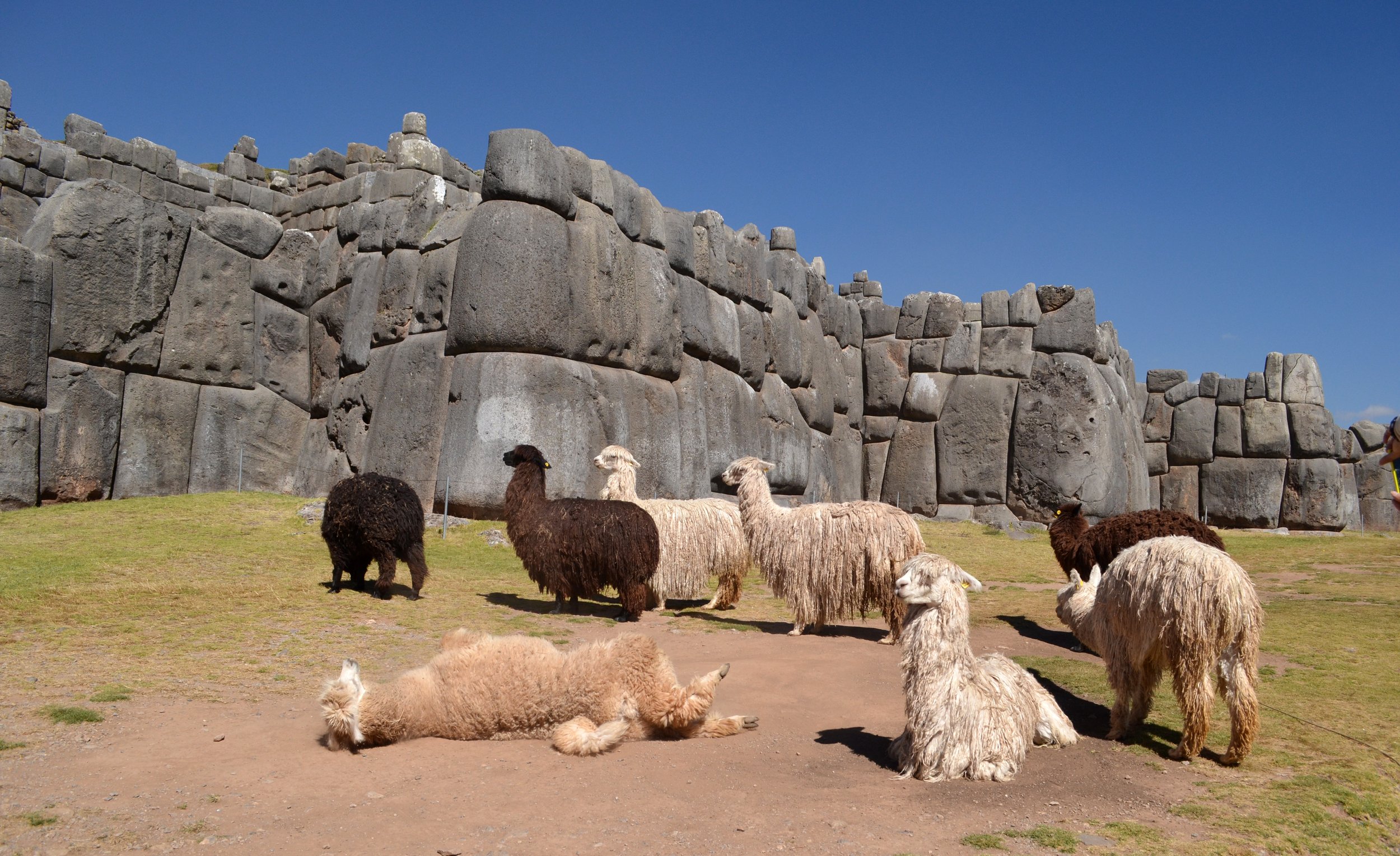 Machu Picchu, Peru, 2014