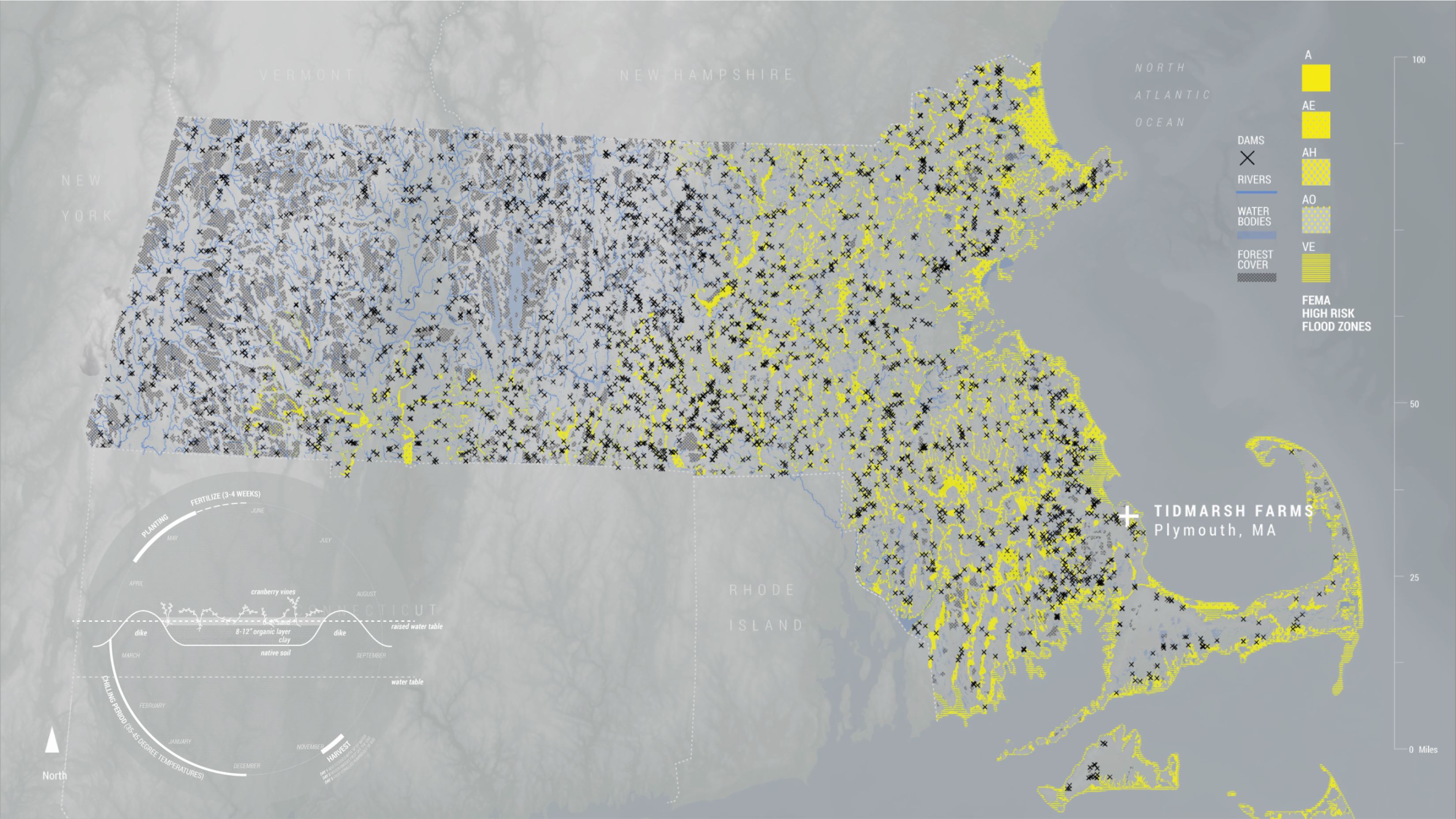 Fig. 26. Tidmarsh Farms in Plymouth Massachusetts is a former cranberry farm that has undergone “the largest freshwater restoration ever completed in the Northeast” according to the Mass Audubon Society.