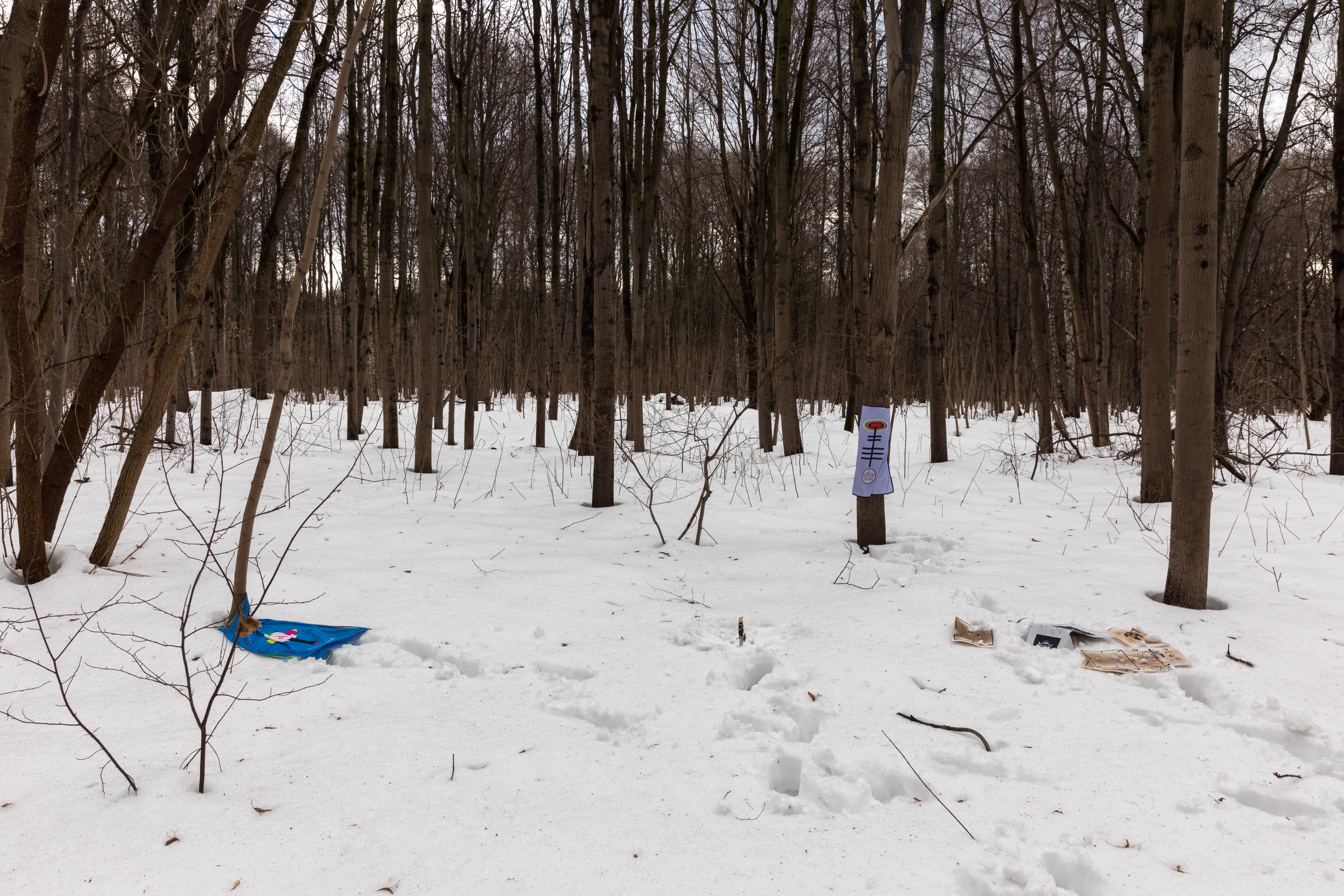 Installation view