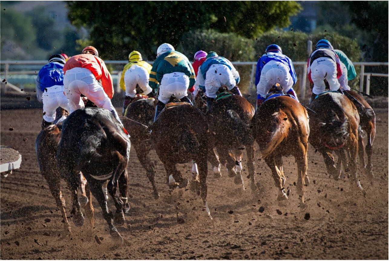 Axe the Racing Tax: How Advocacy Secured a Win for Horse RacingSEE MORE