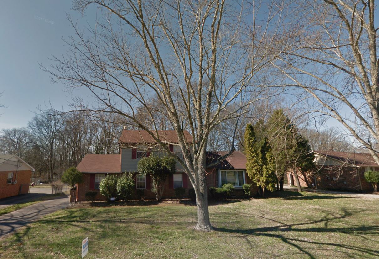 the tree outside my childhood home