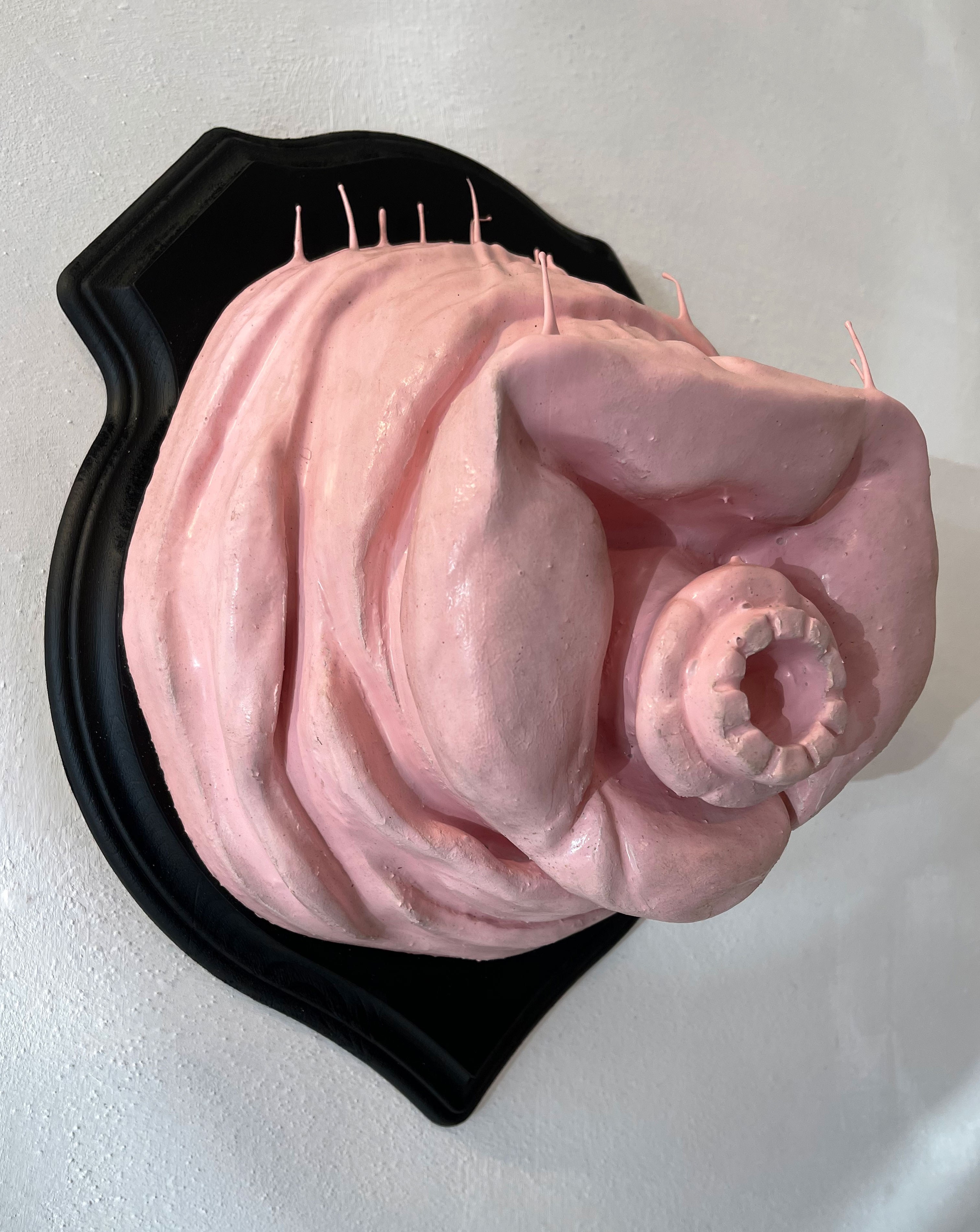 Trophy, ceramic, silicon, wood, 40 x 31 x 20 cm