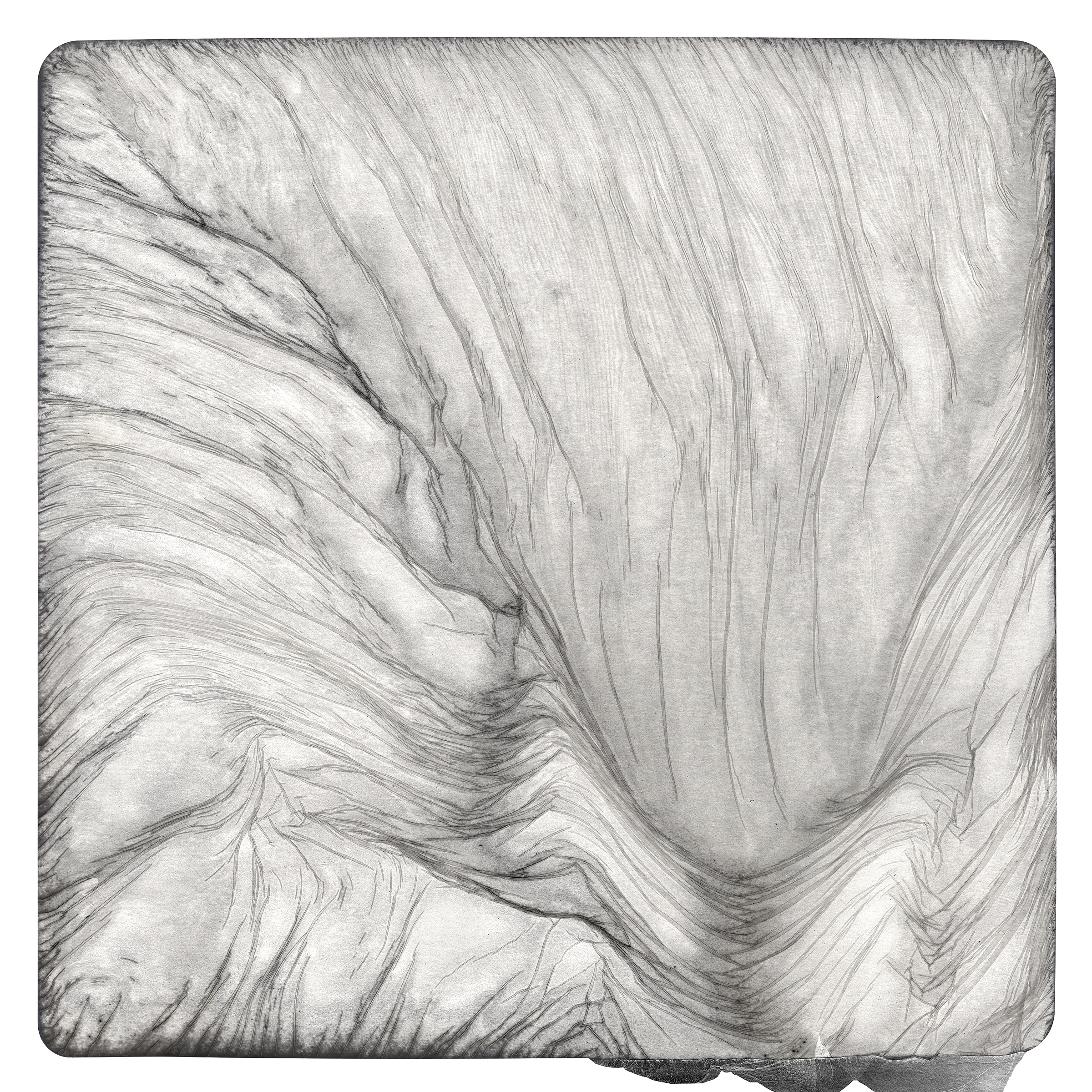 Gelatin Silver 5, 2016. 40 x 40"